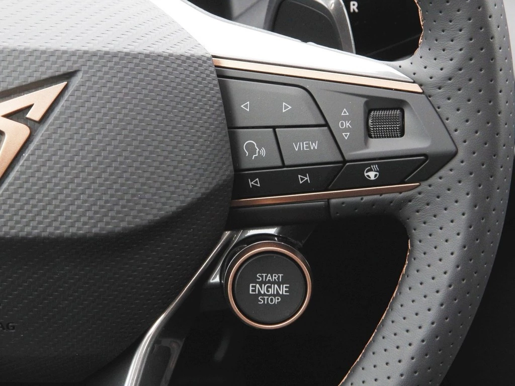 CUPRA Terramar 1.5 eTSI UPE 49.445 DSG Edge Digital Drive