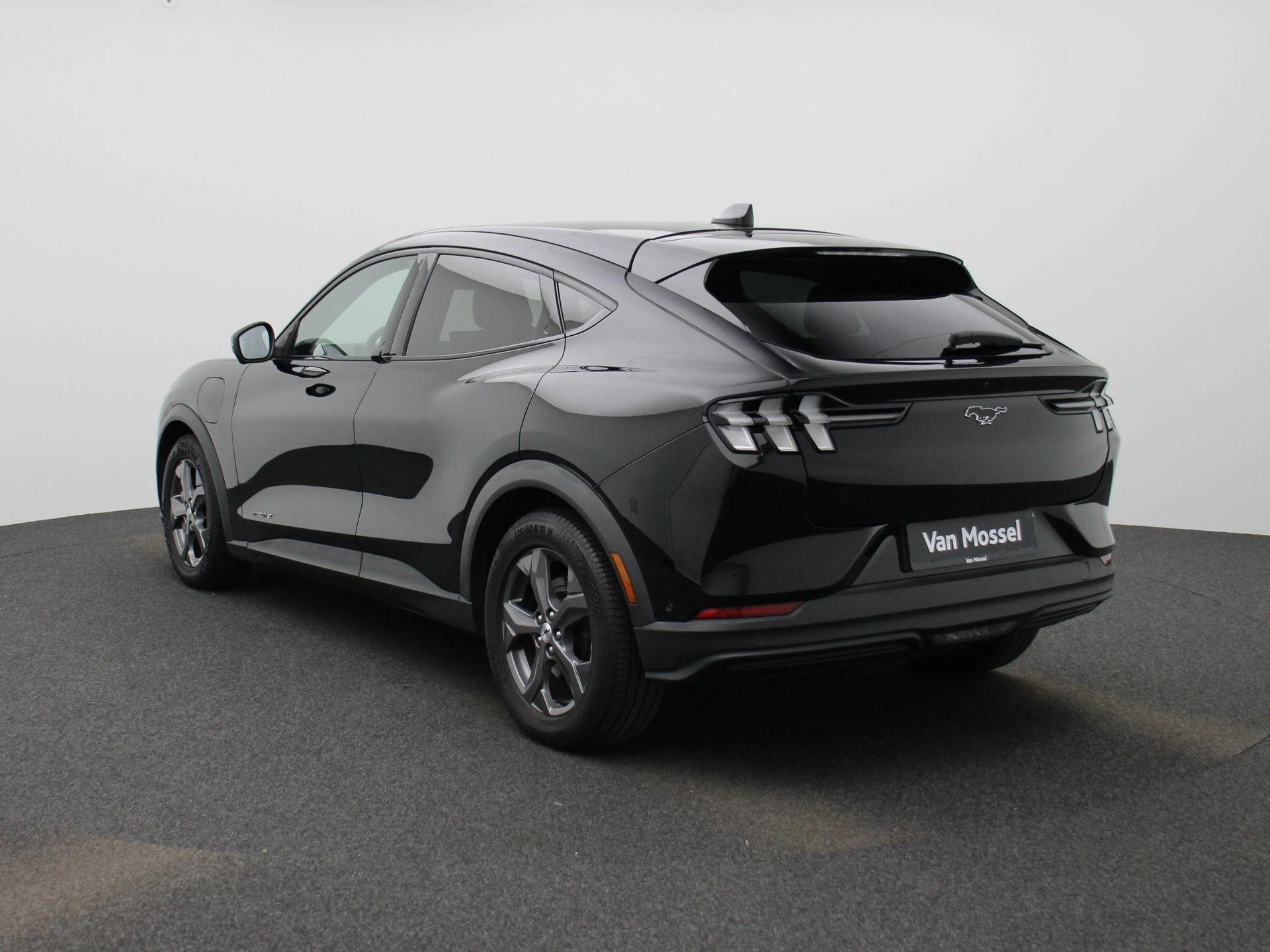 Ford-Mustang Mach-E-image-1