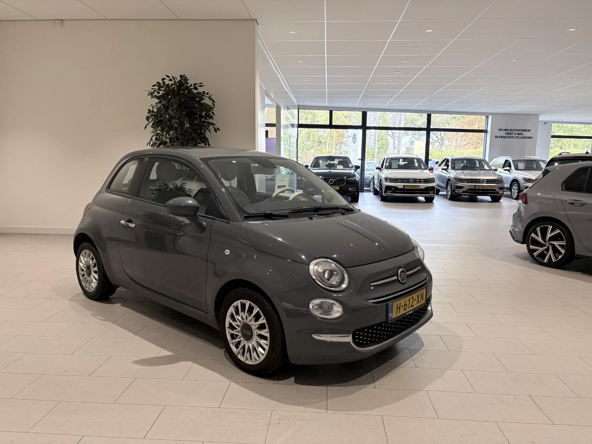 Fiat-500-image-5