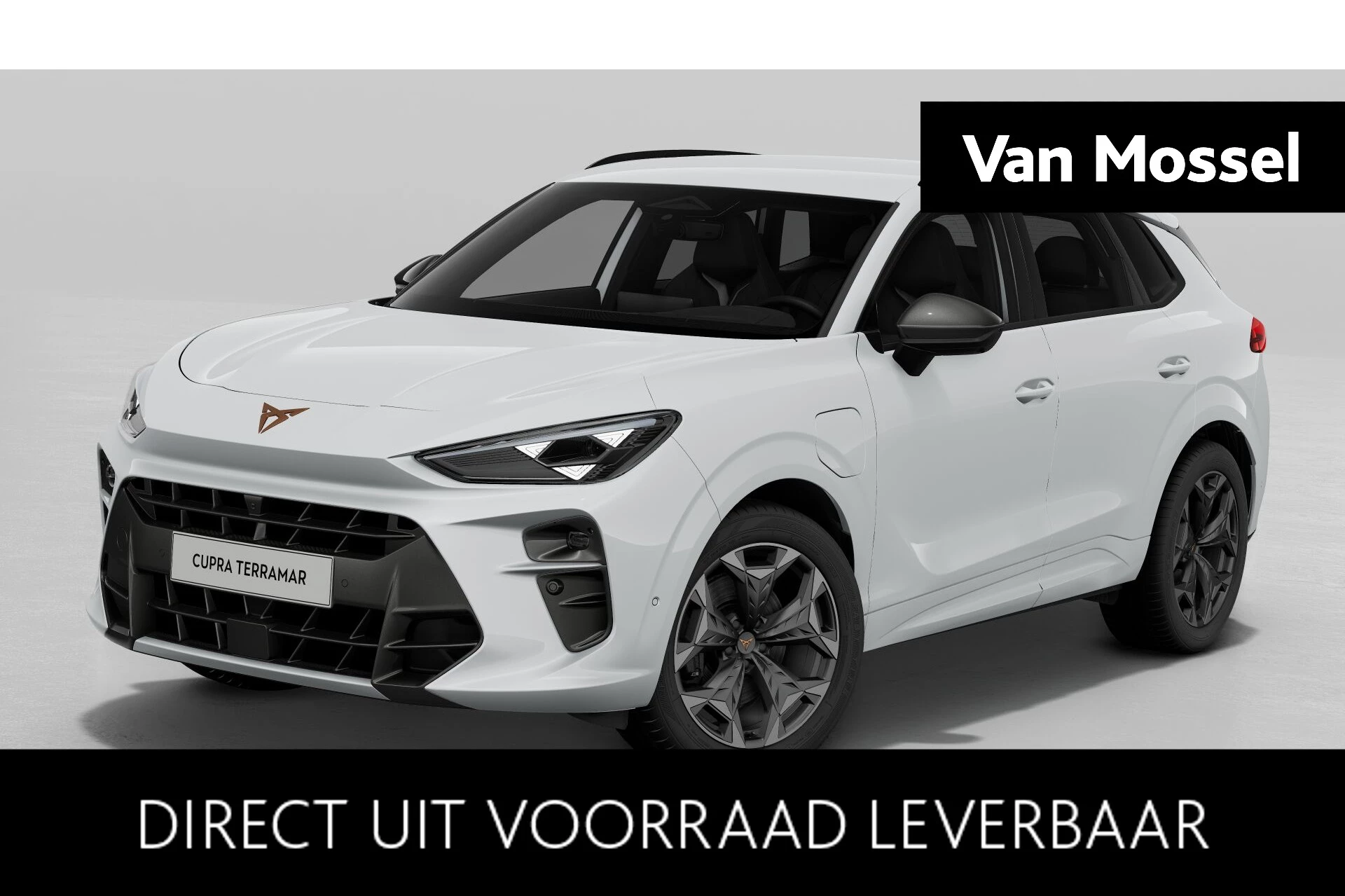 CUPRA-Terramar-image-0