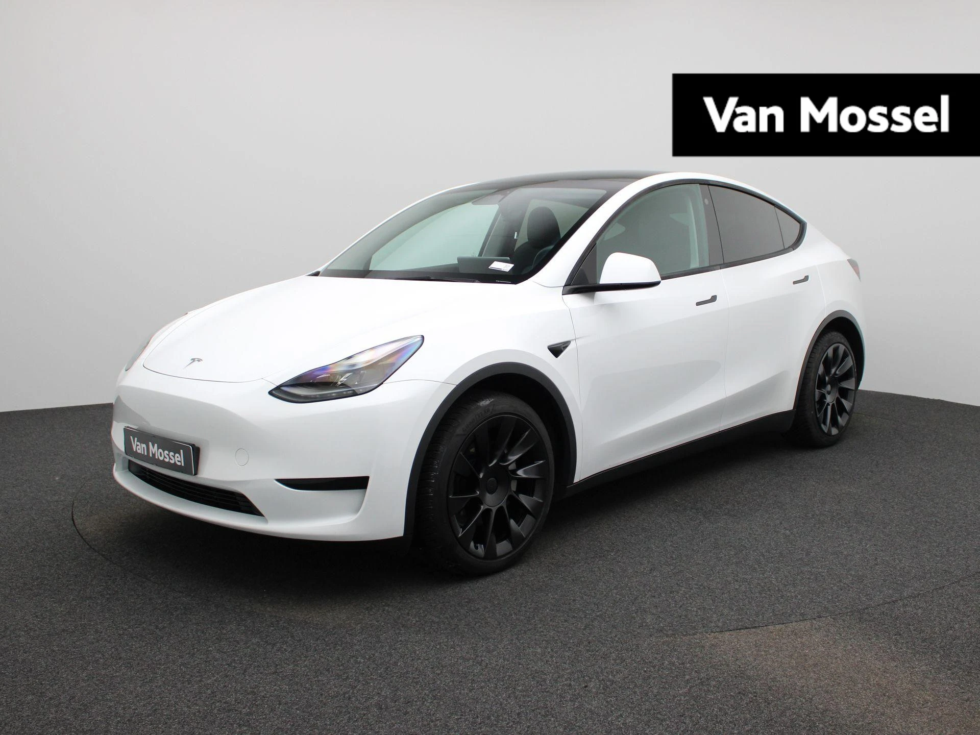 Tesla-Model Y-image-0