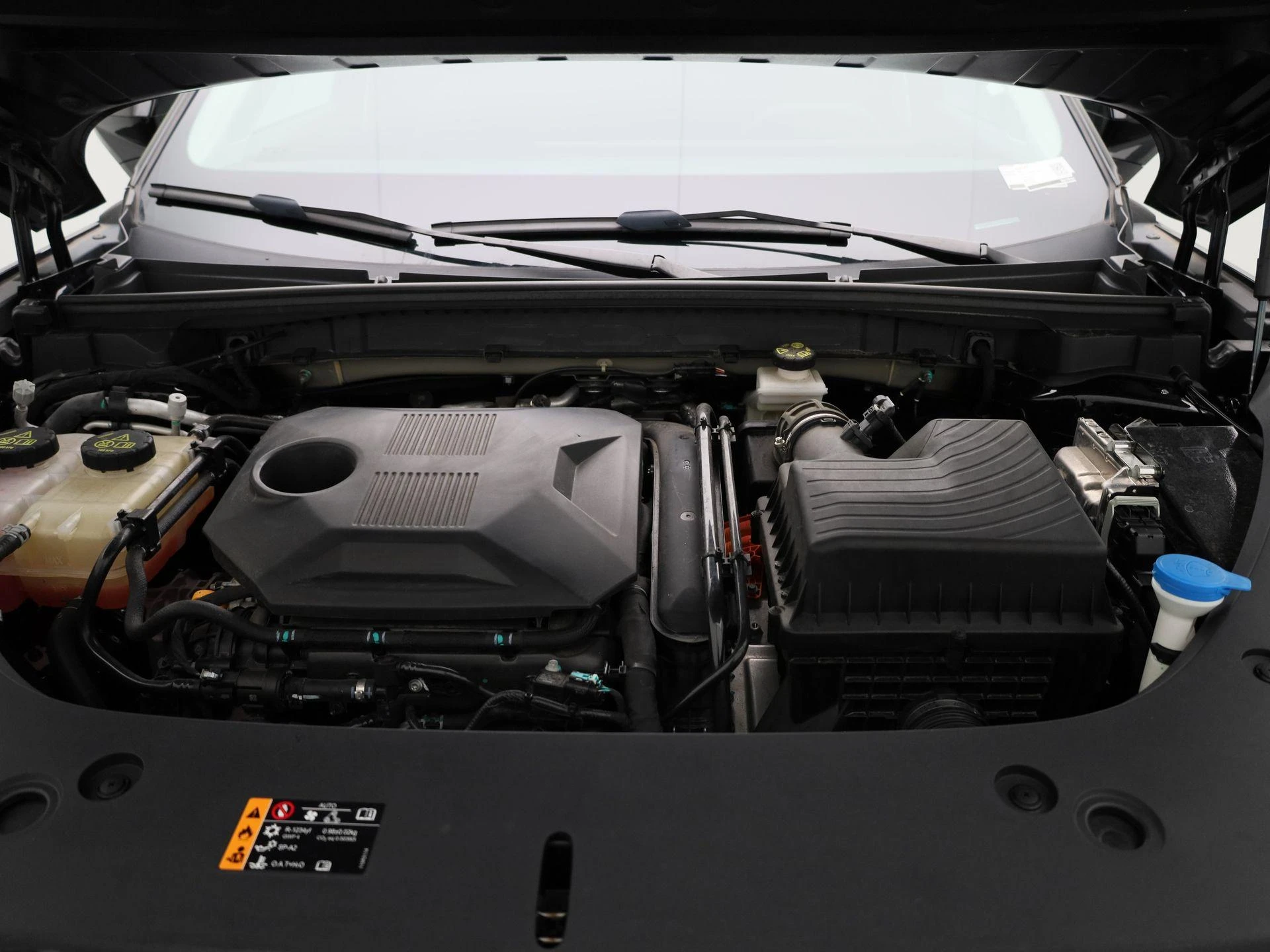 MG-HS-image-33