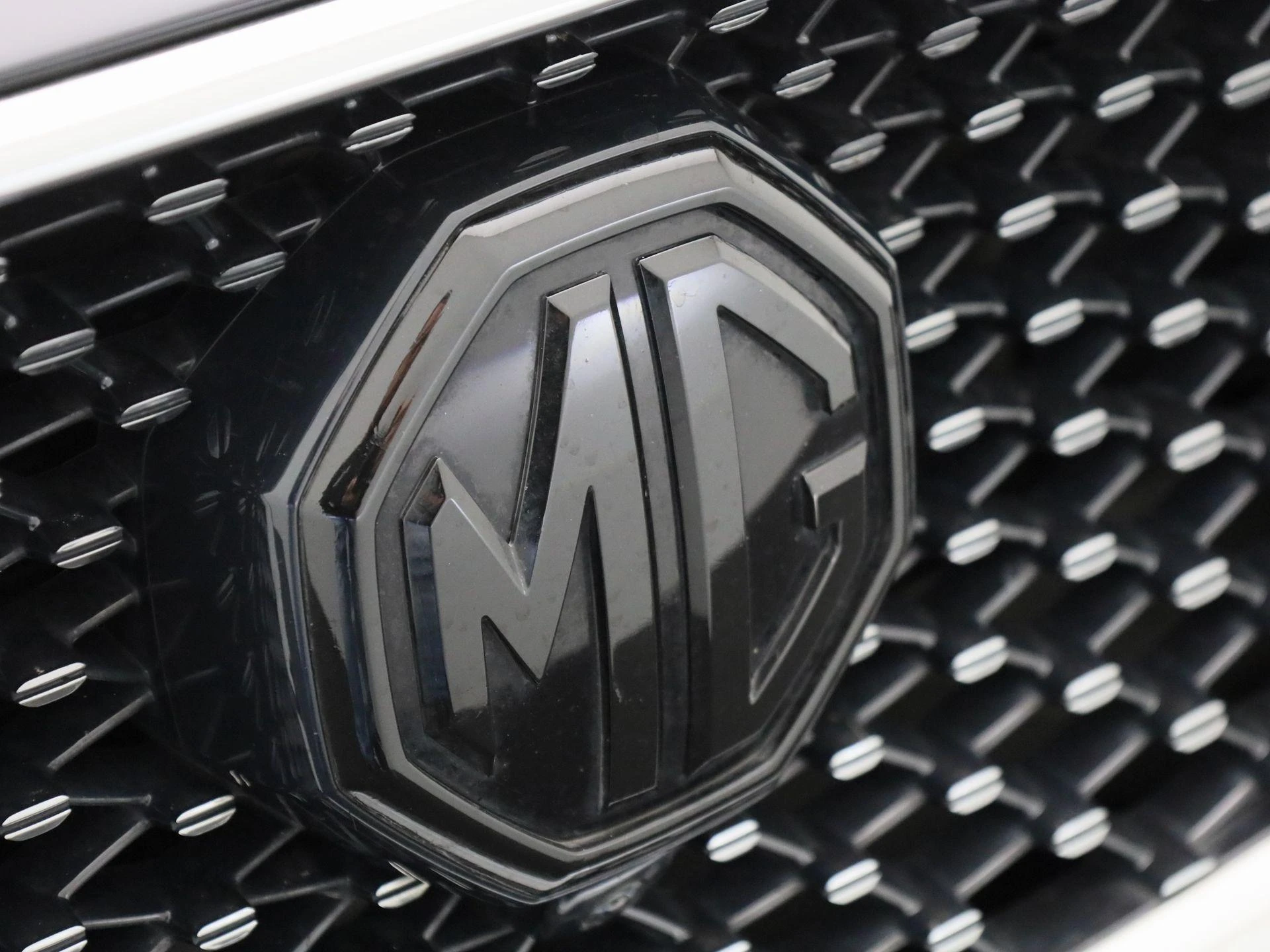 MG-EHS-image-34