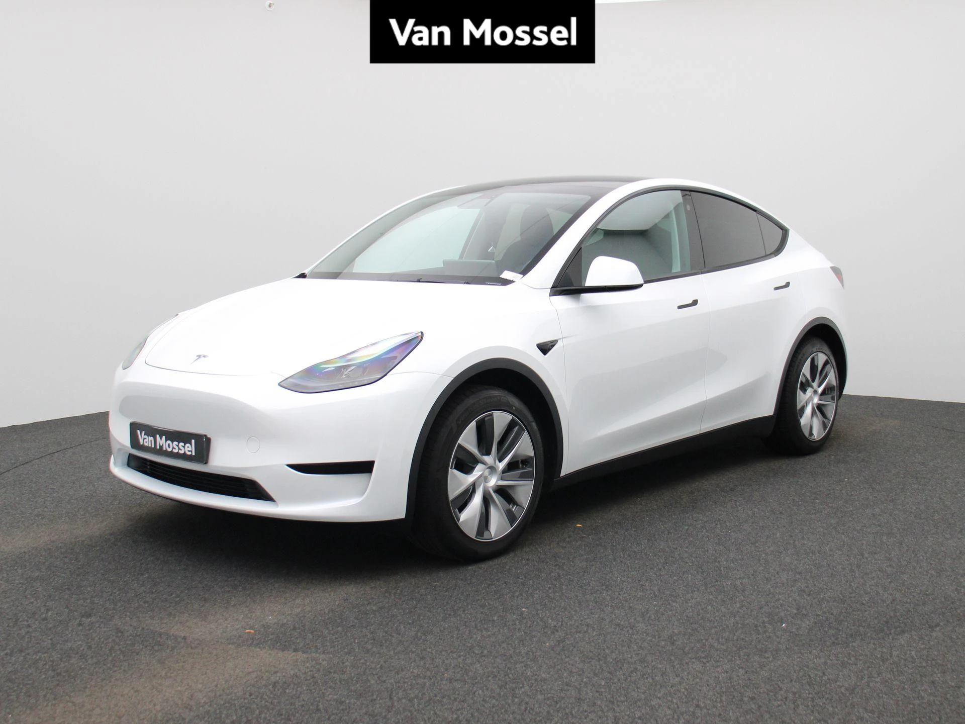 Tesla-Model Y-image-0