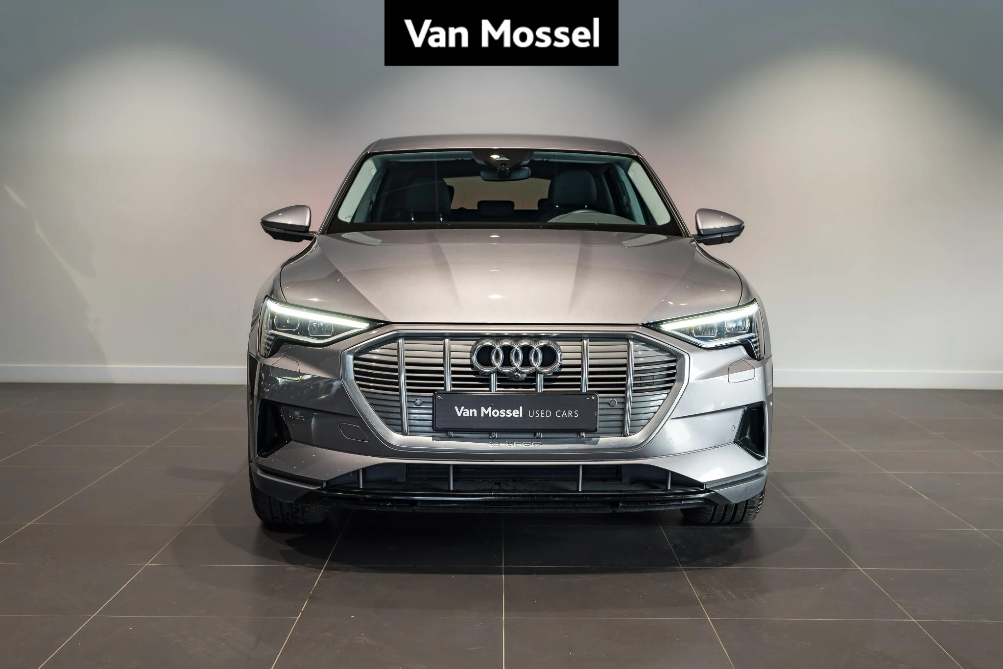 Audi-e-tron-image-0