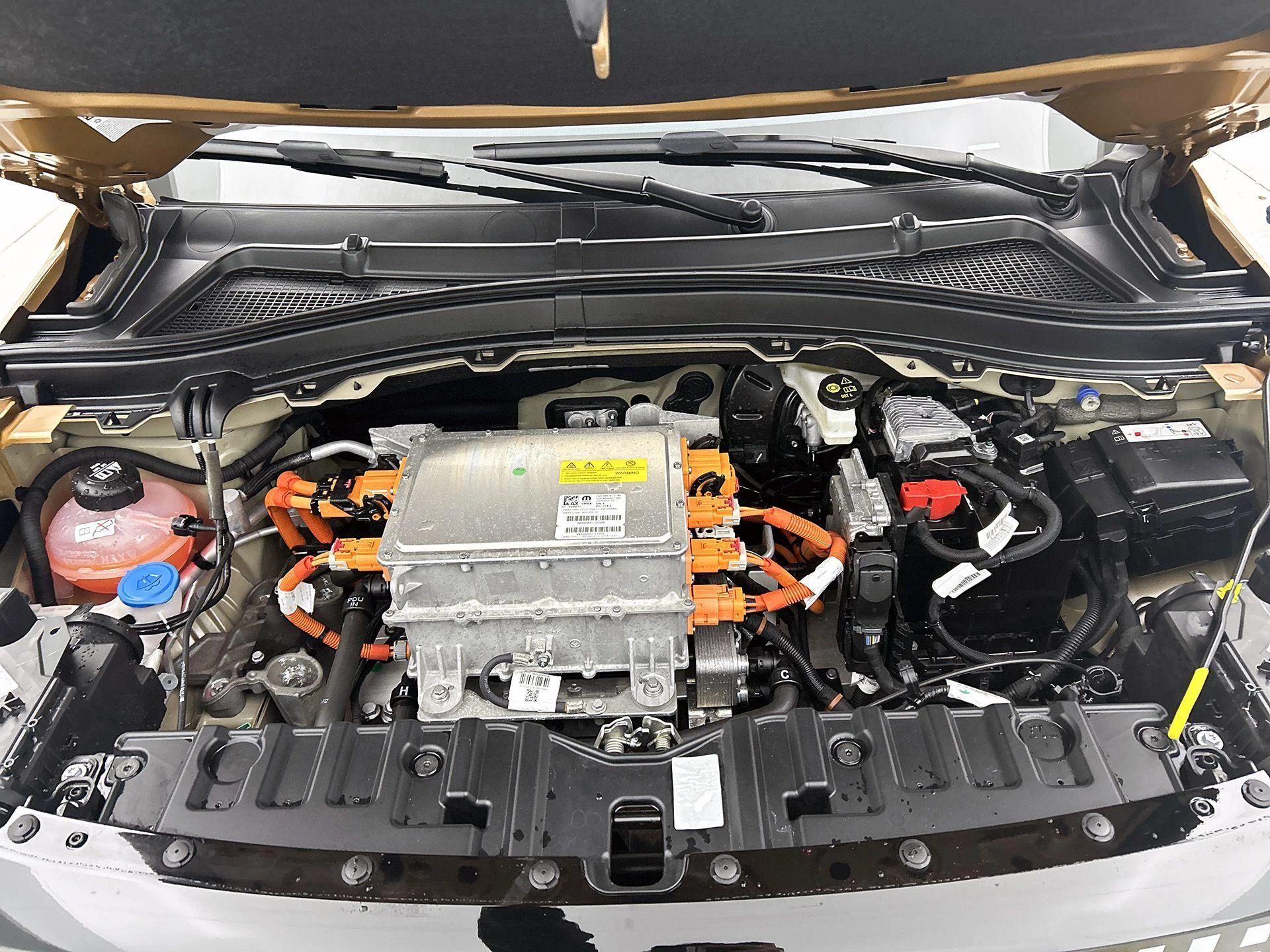 Fiat-Grande Panda-image-27