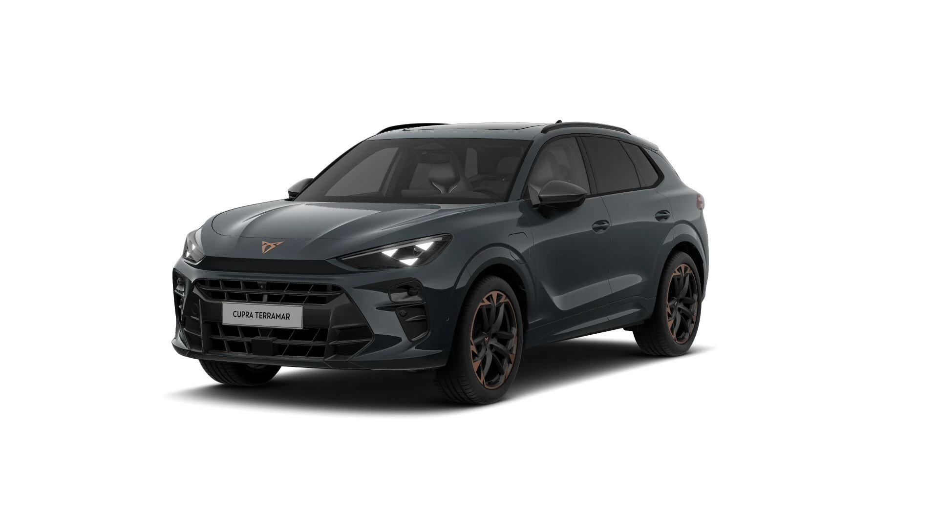 CUPRA Terramar Business