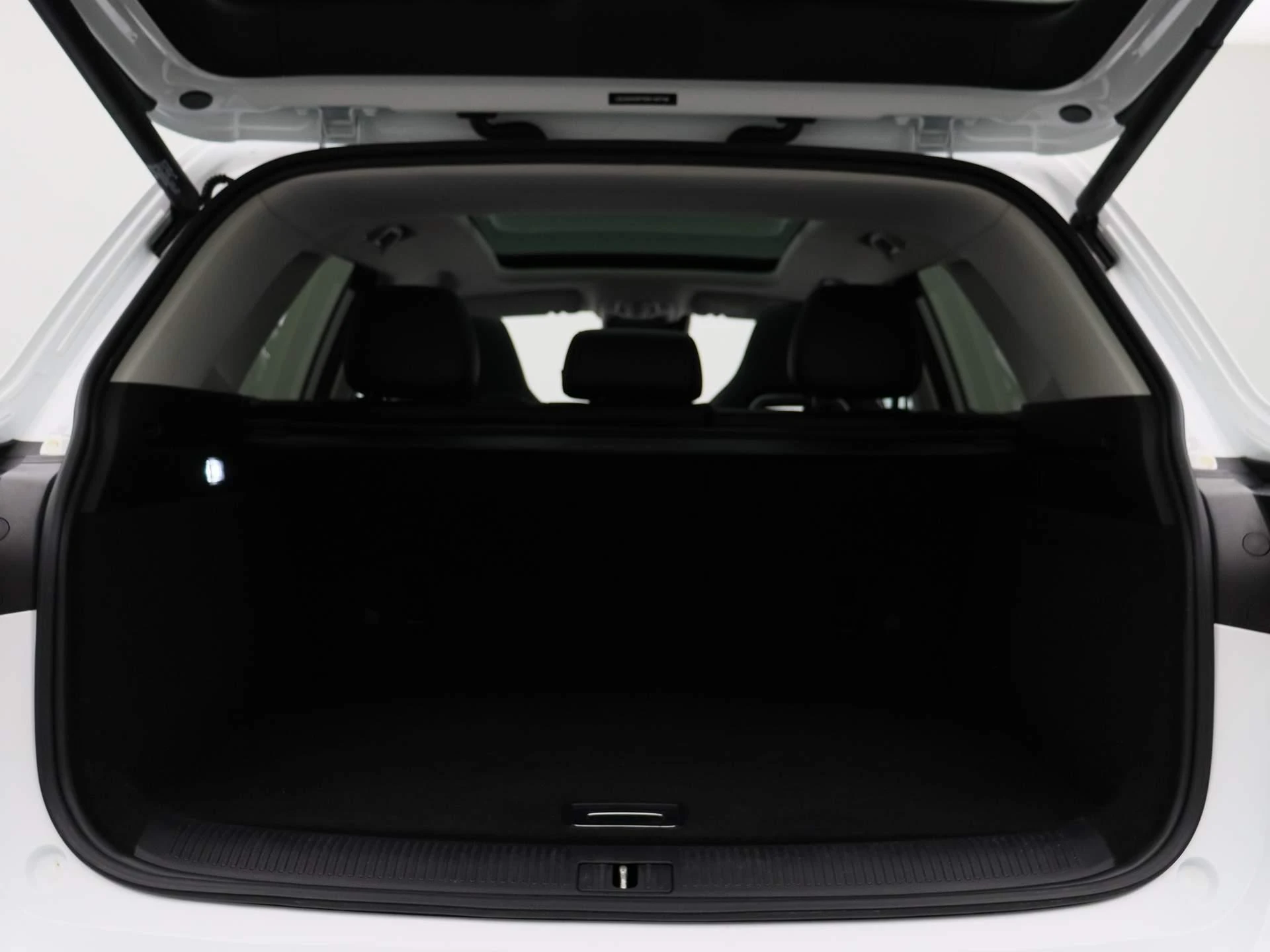 MG-EHS-image-23