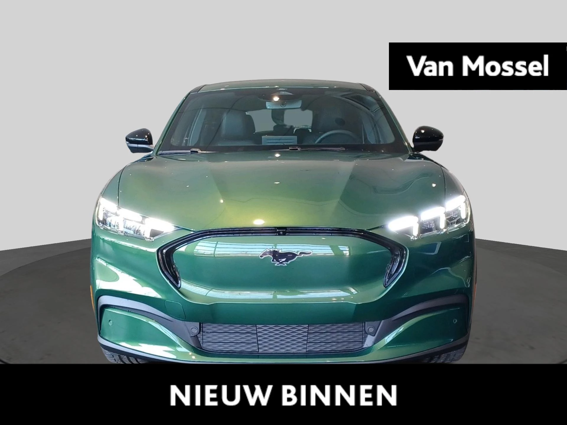 Ford-Mustang Mach-E-image-0