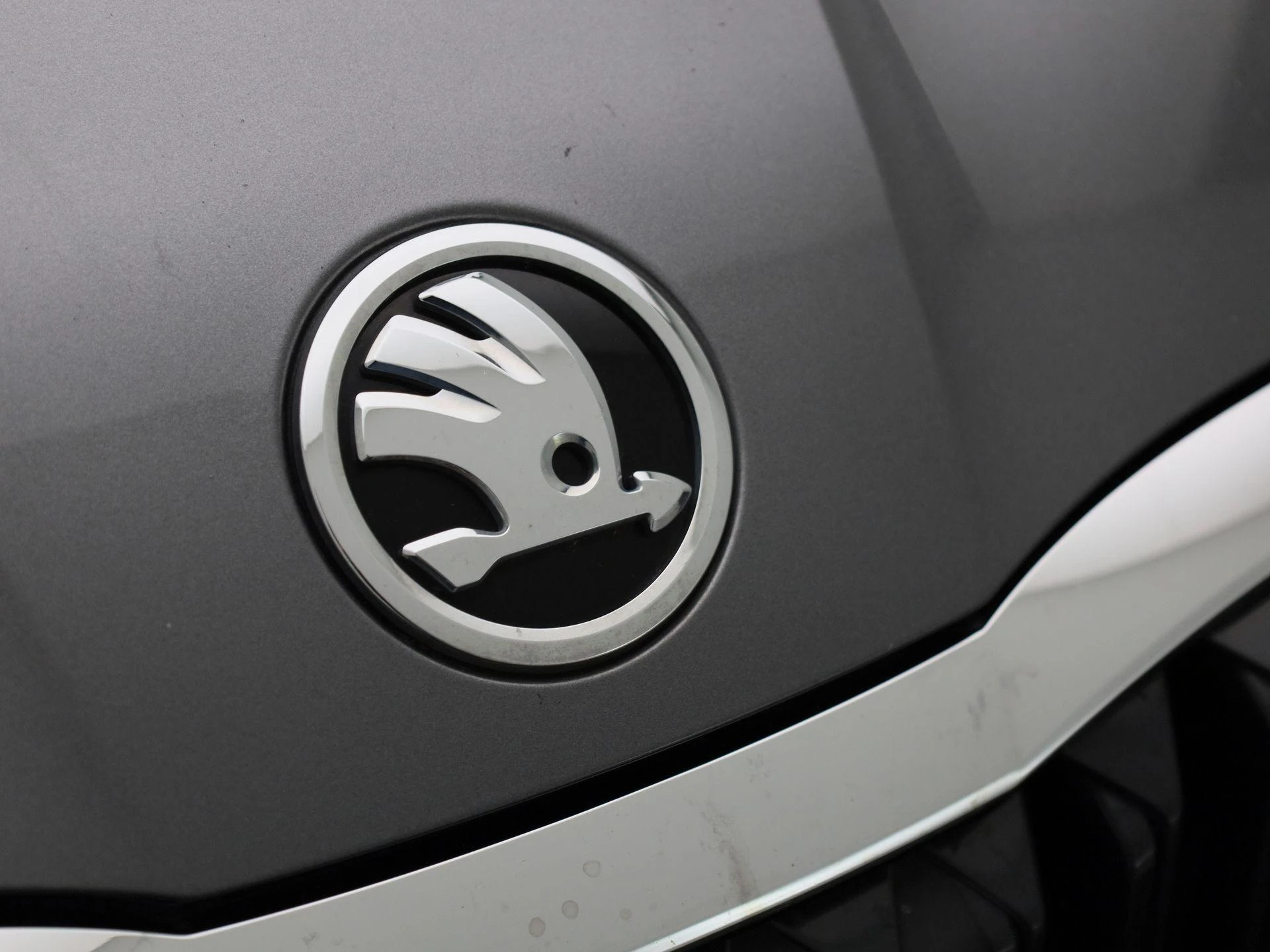 Škoda-Octavia-image-34
