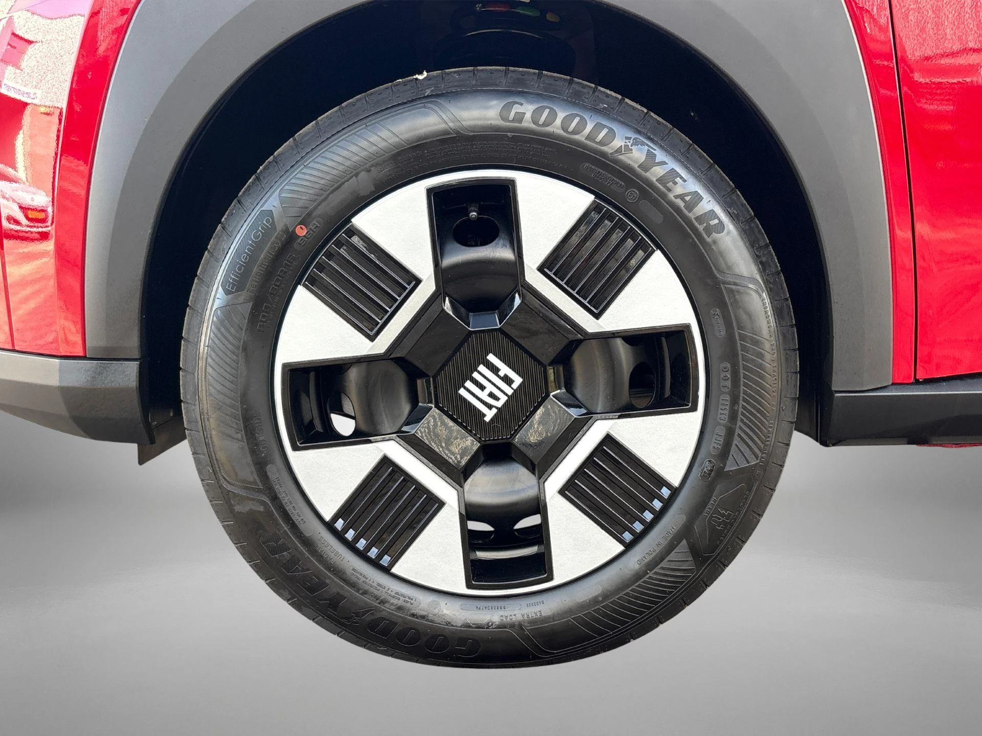 Fiat-Grande Panda-image-22
