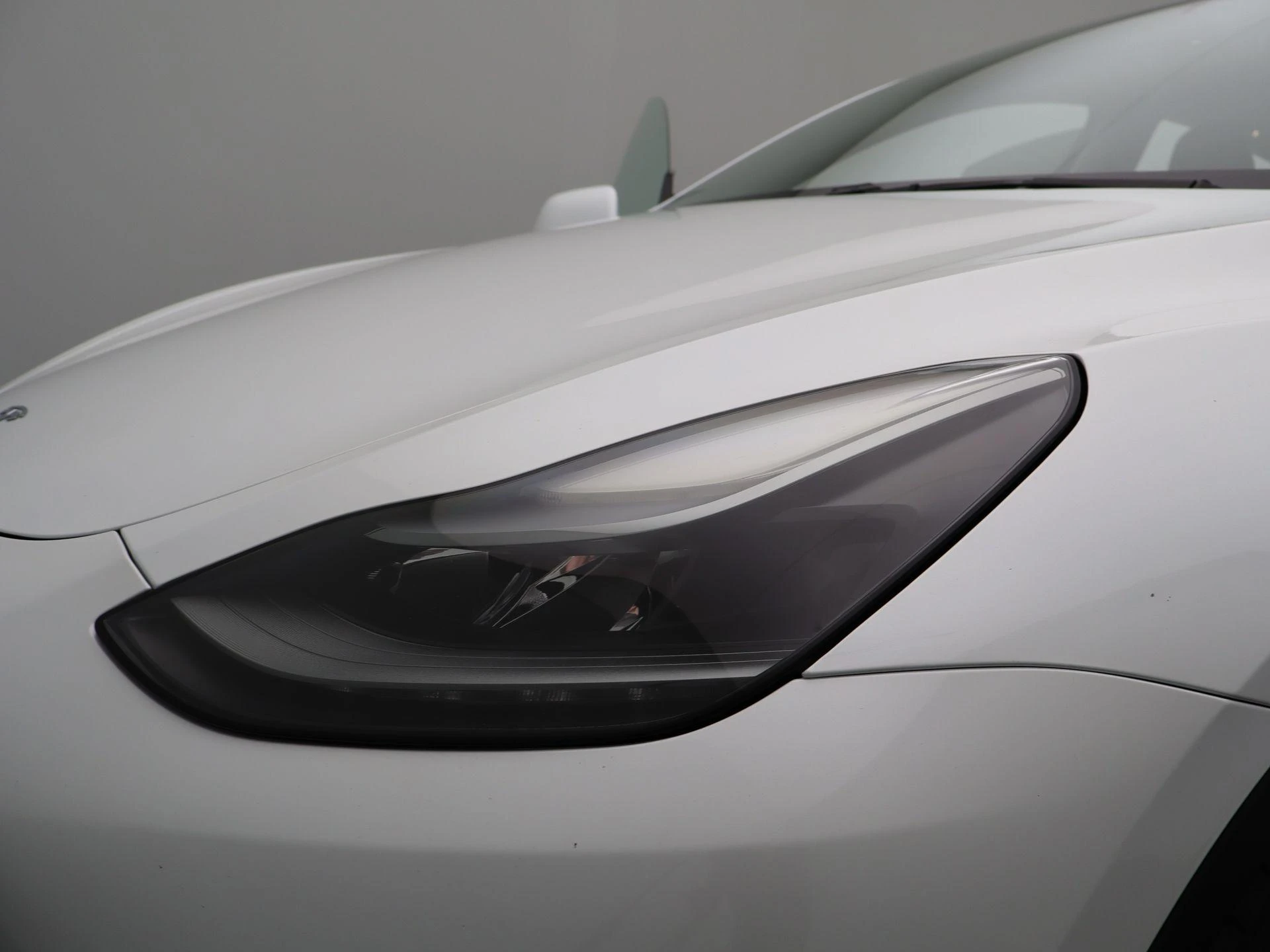 Tesla-Model Y-image-24
