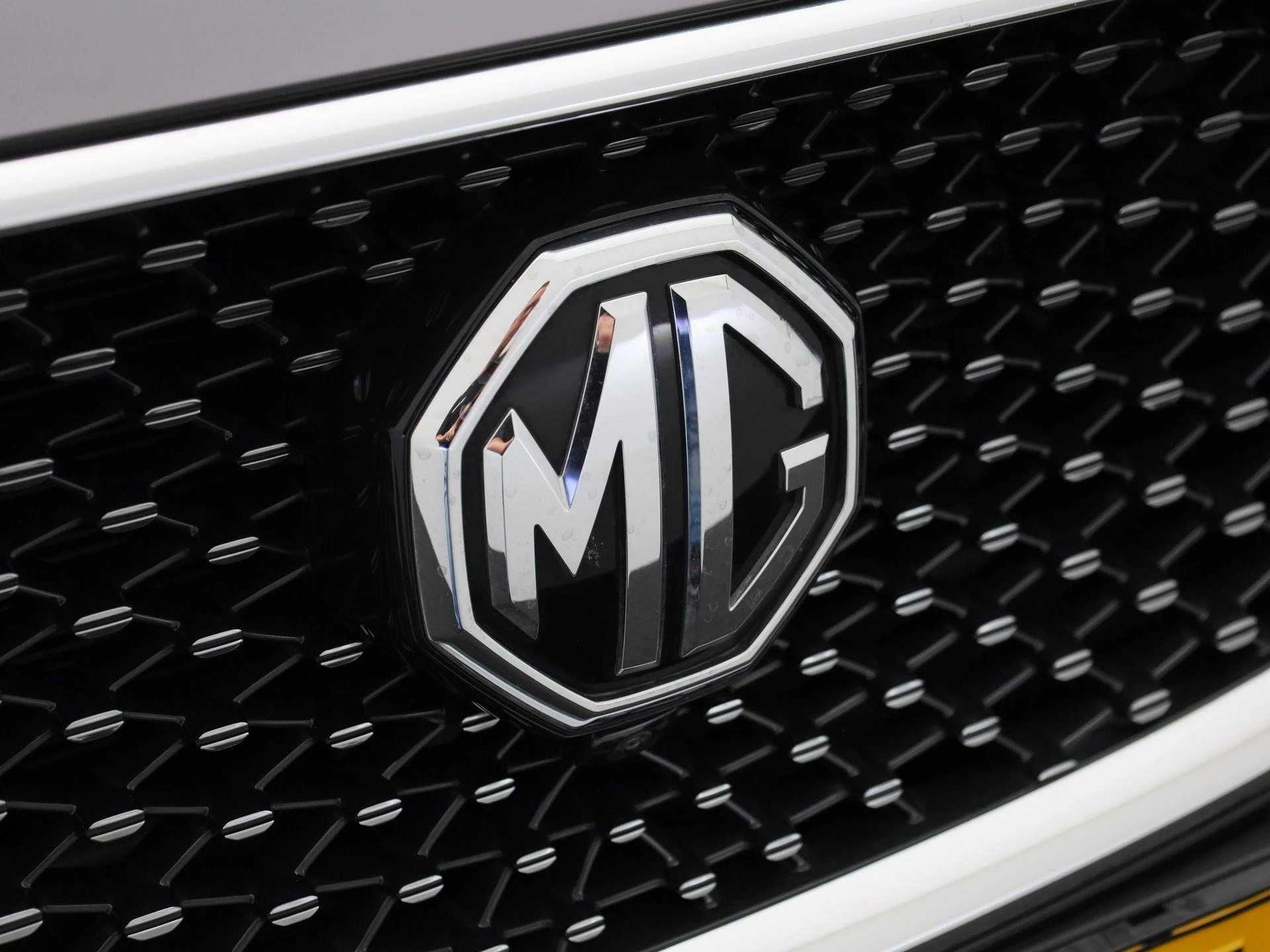 MG-EHS-image-33