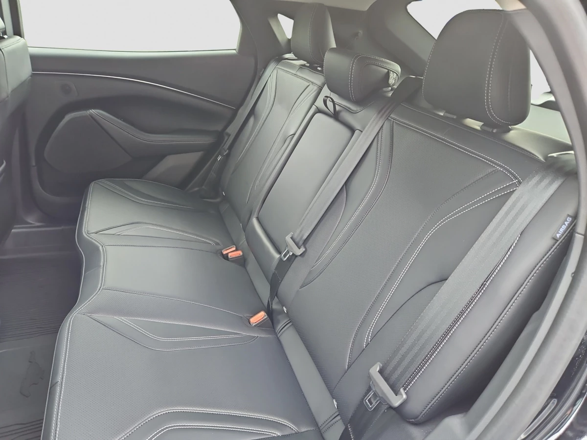 Ford-Mustang Mach-E-image-8