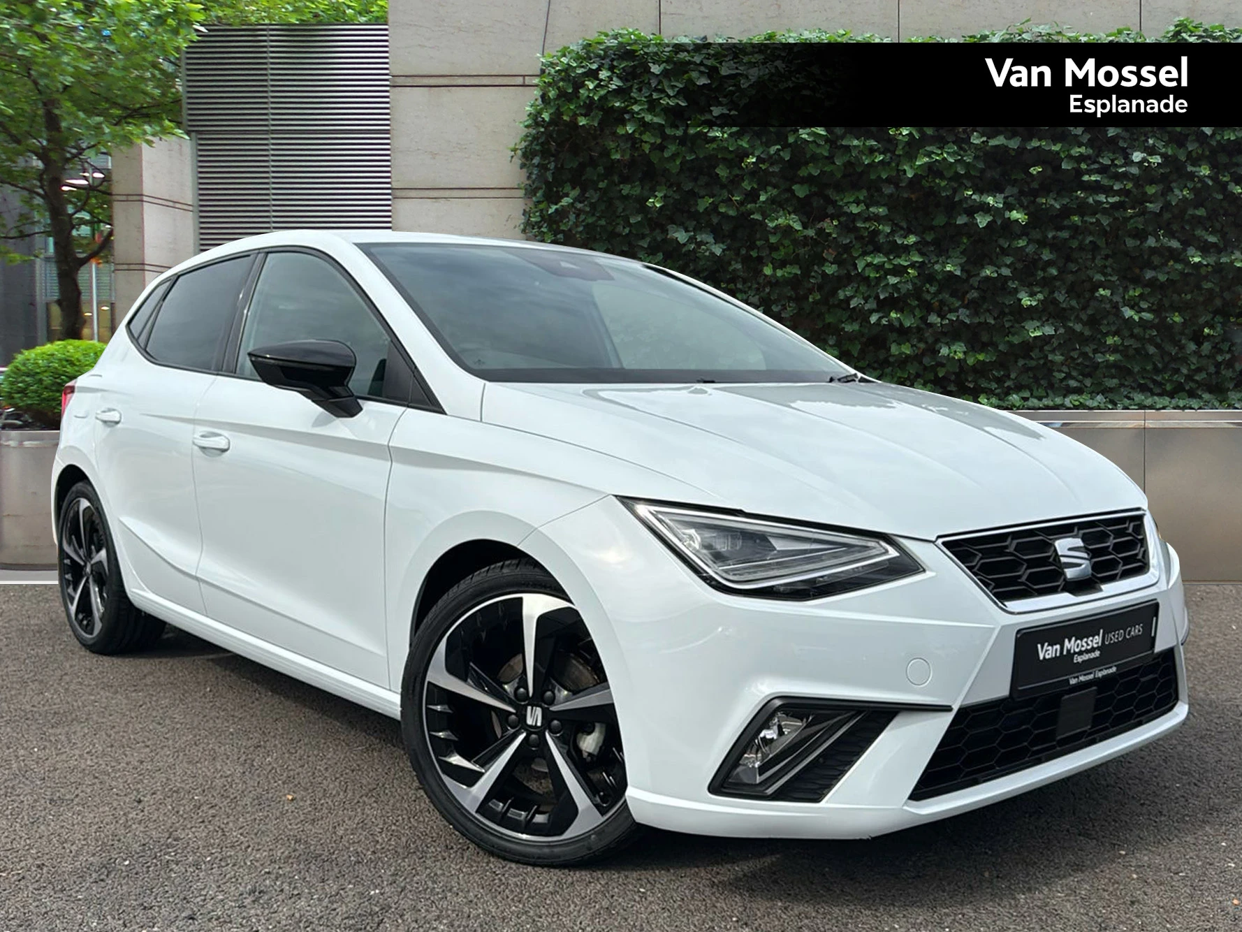 SEAT-Ibiza-image-0