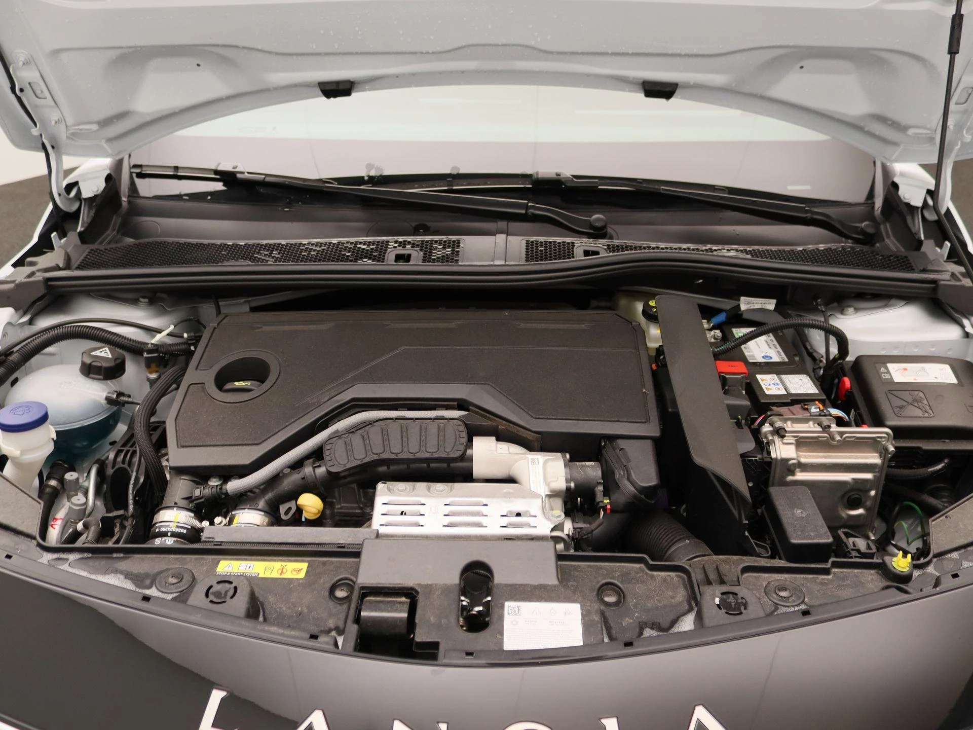 Lancia Ypsilon 1.2 Turbo Hybrid HF Line 110pk