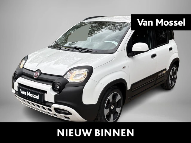 Fiat Pandina