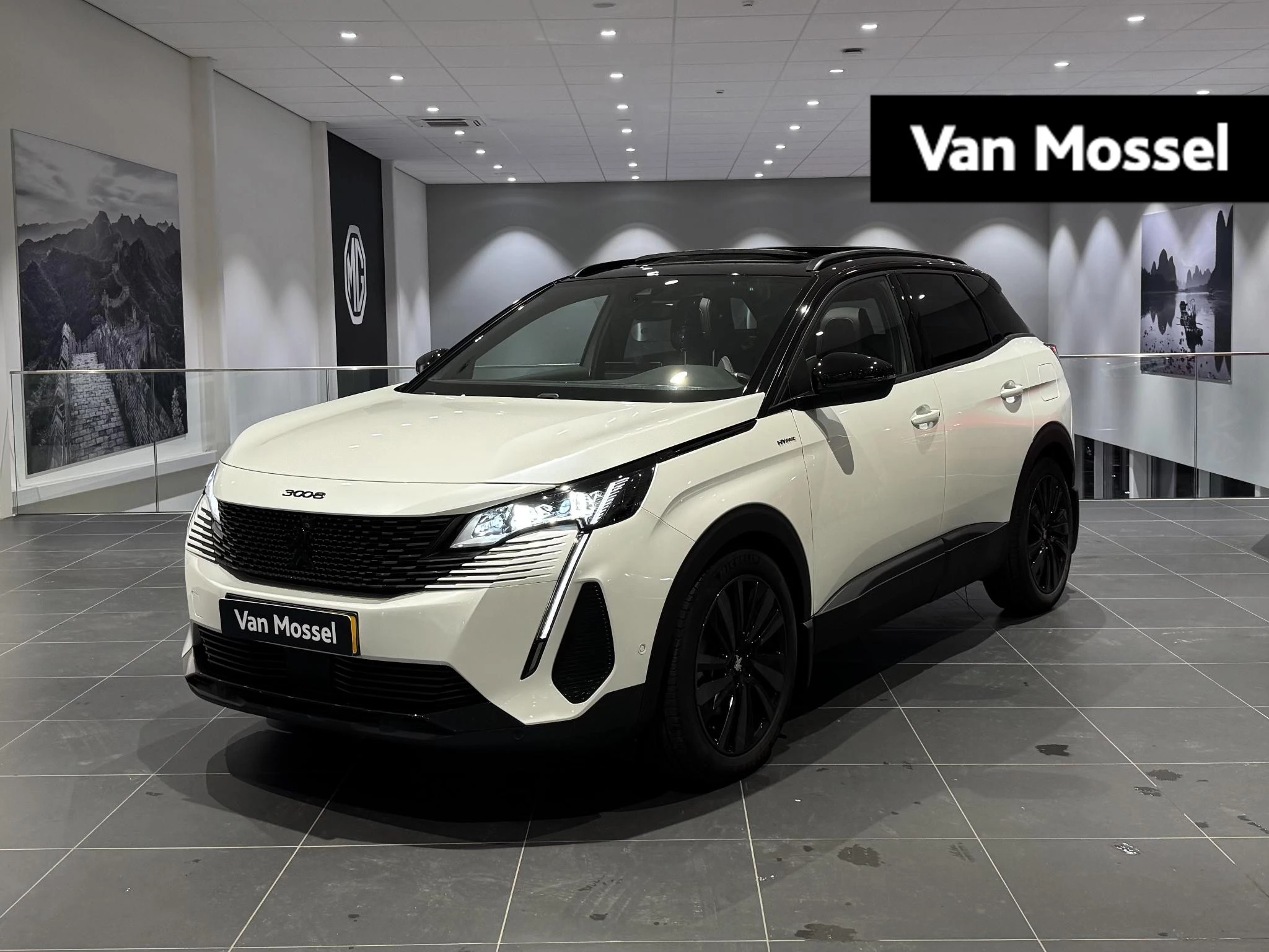 Peugeot-3008-image-0