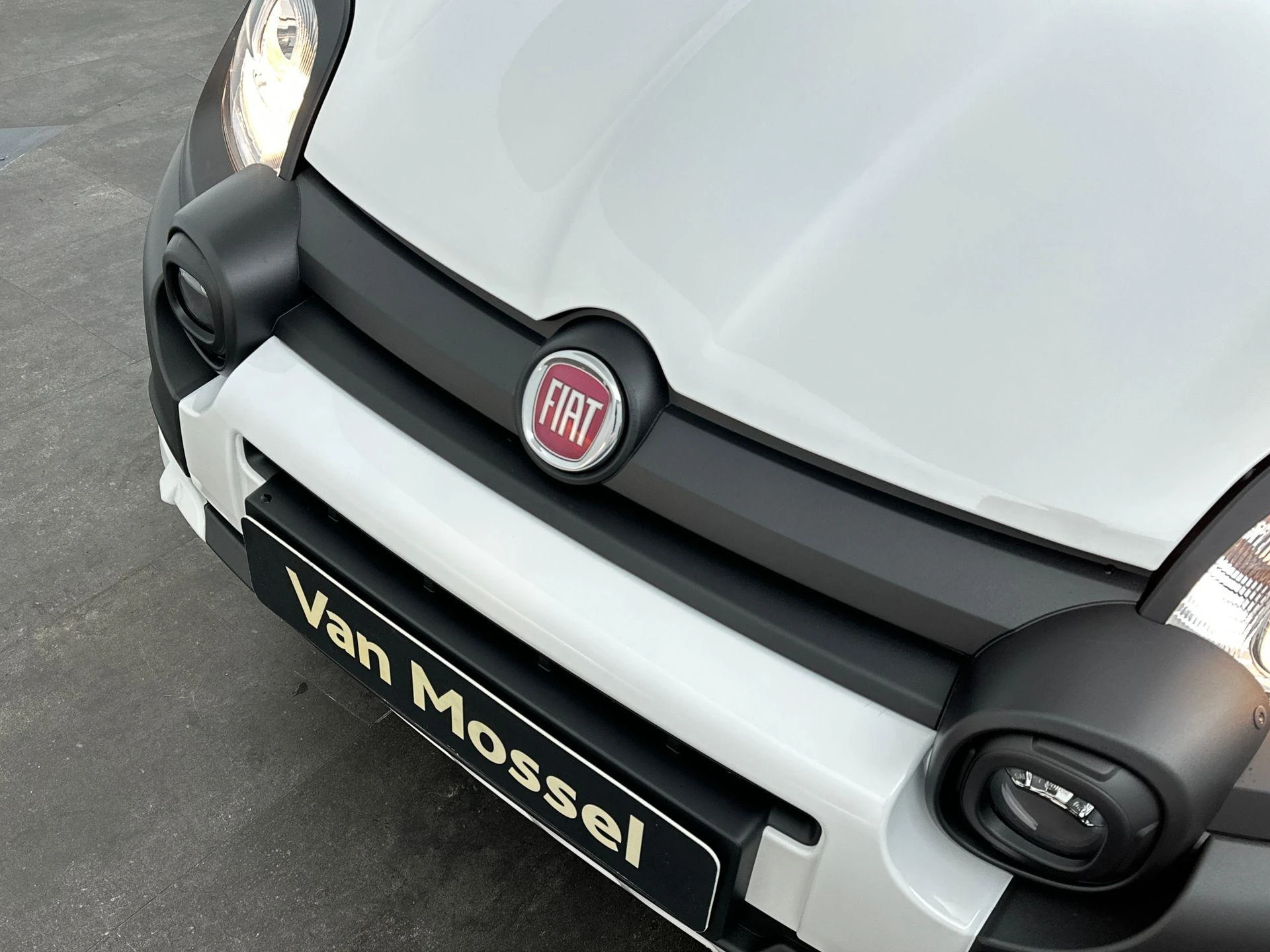 Fiat-Pandina-image-21