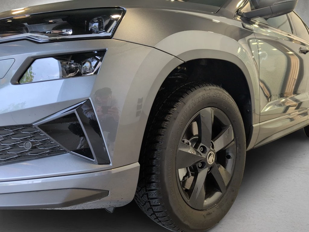 Škoda Karoq Sportline 2.0L TDI 4x4 Winter Plus; Parken; Komfort