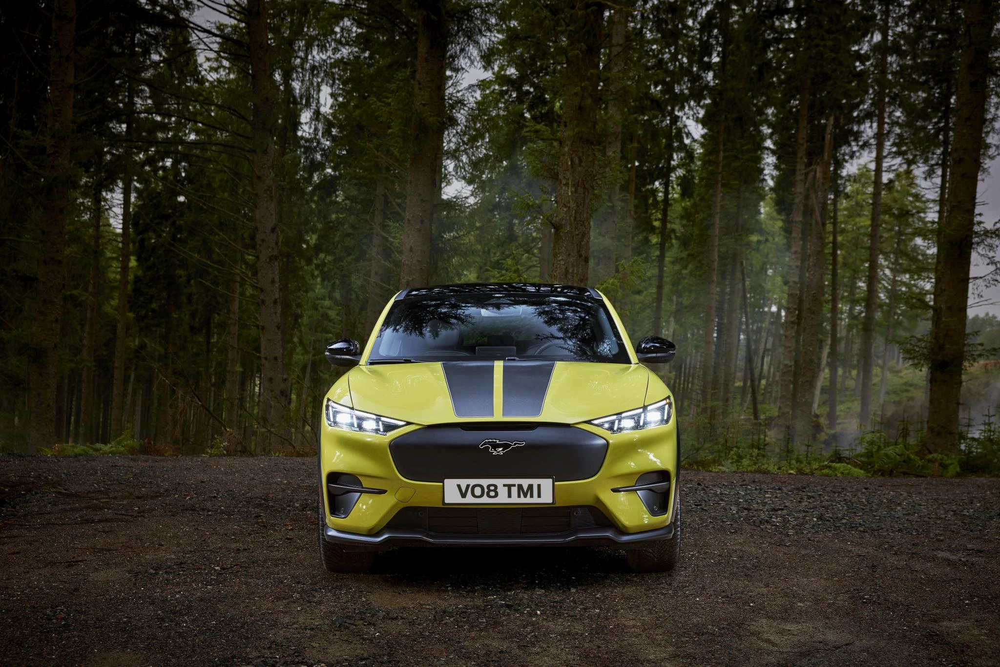 Ford-Mustang Mach-E-image-4