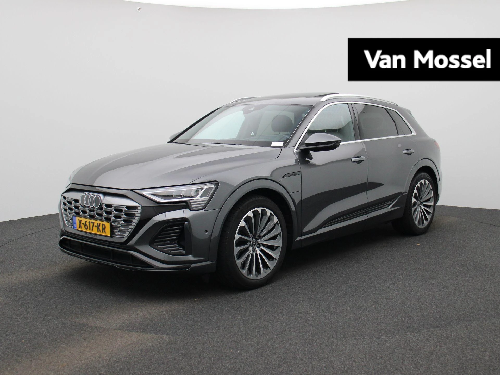 Audi-Q8 e-tron-image-0