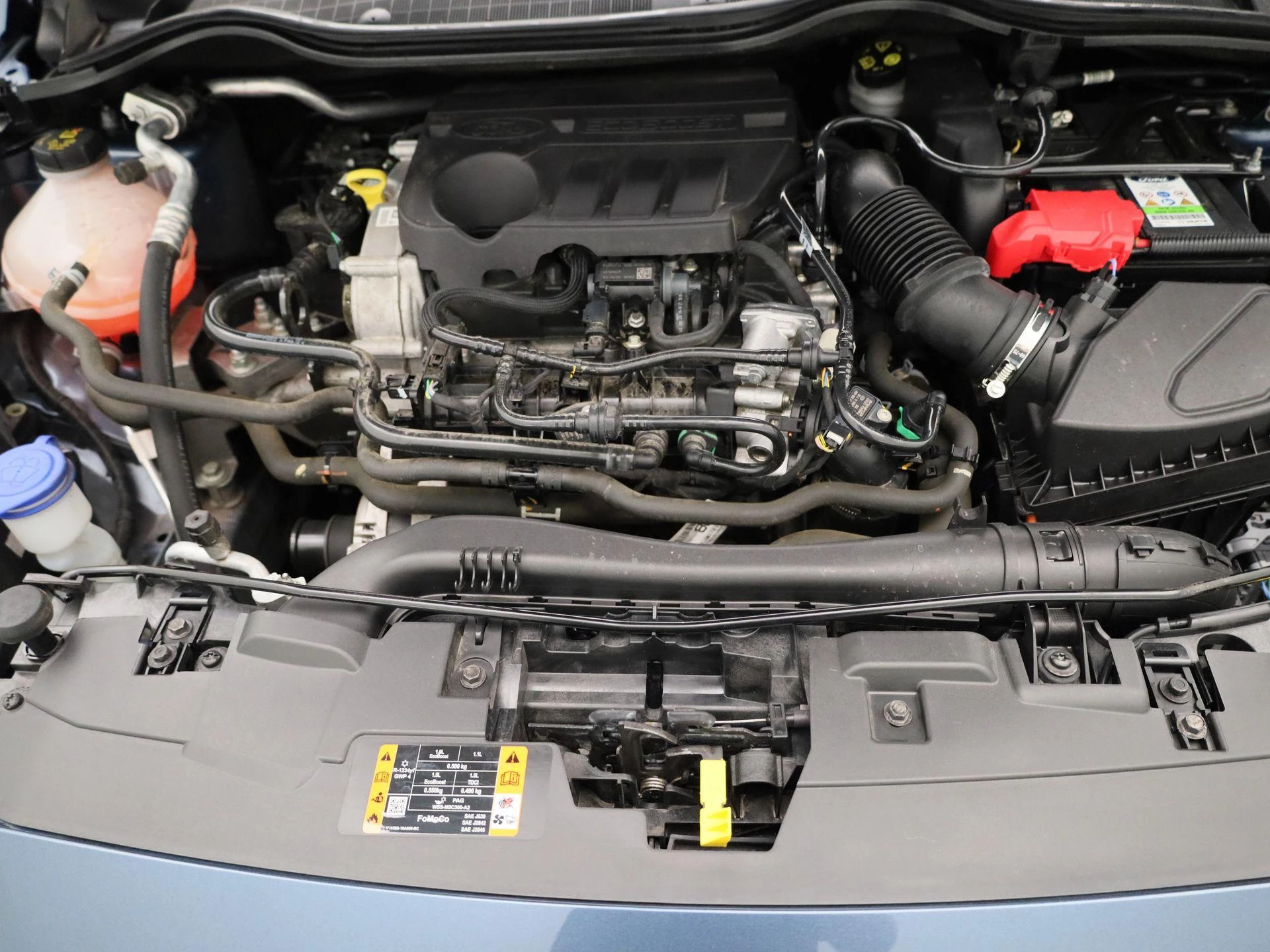 Ford-Fiesta-image-23
