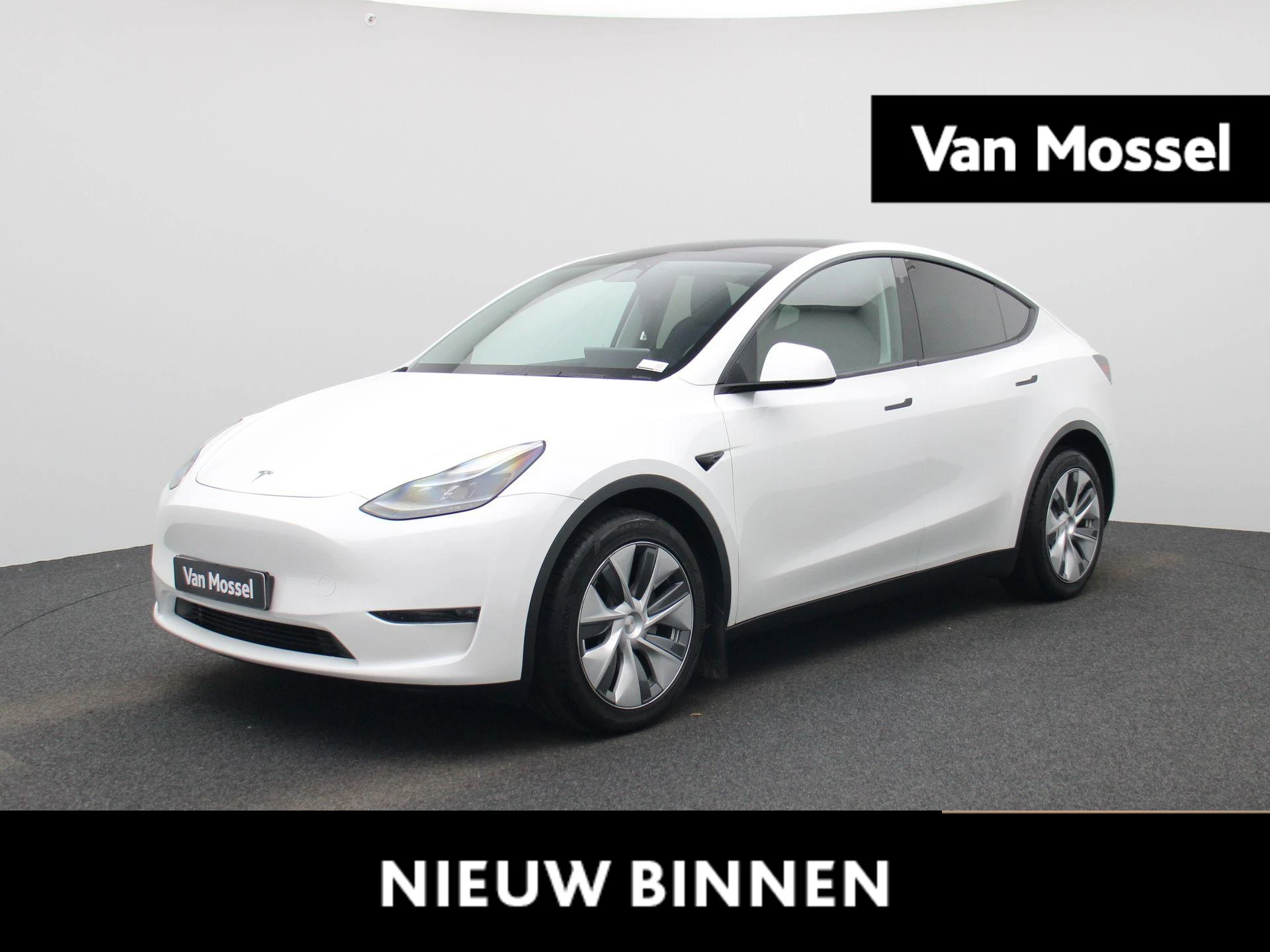 Tesla-Model Y-image-0