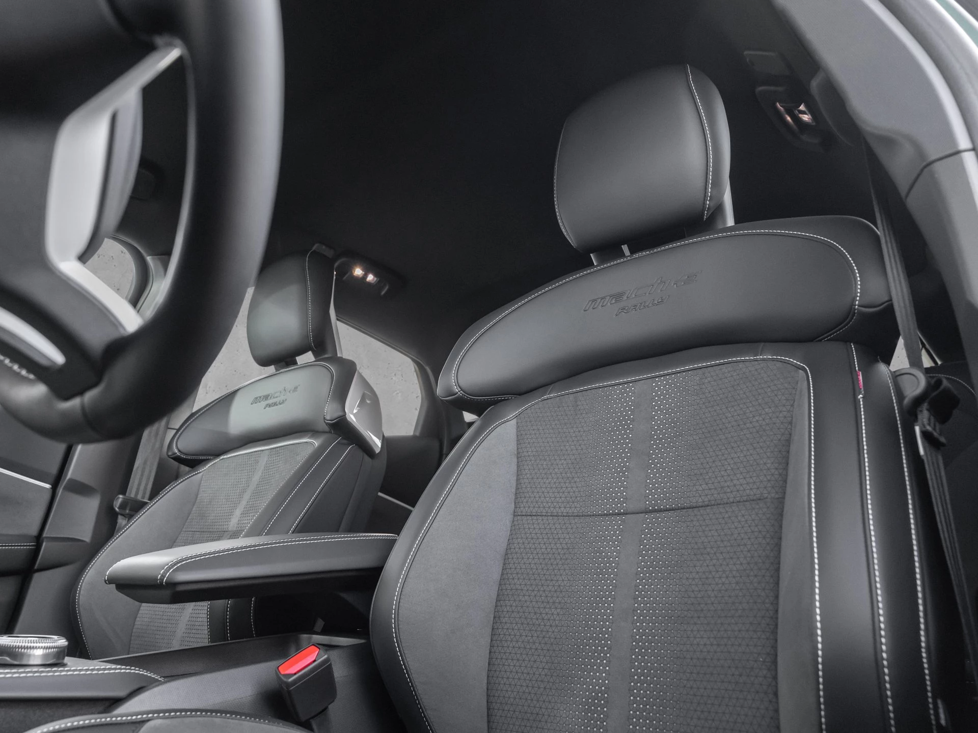 Ford-Mustang Mach-E-image-4