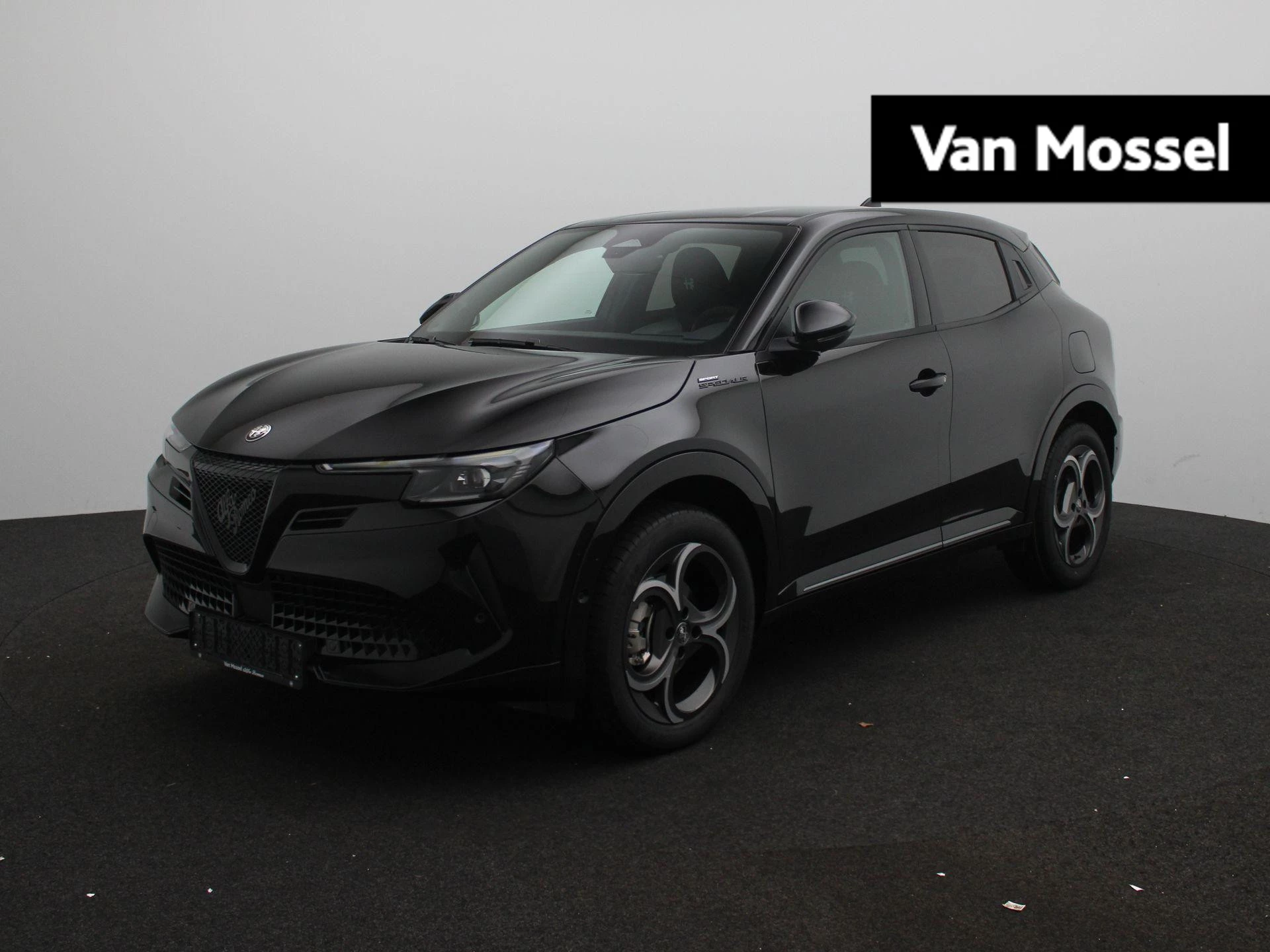 Alfa Romeo-Junior-image-0