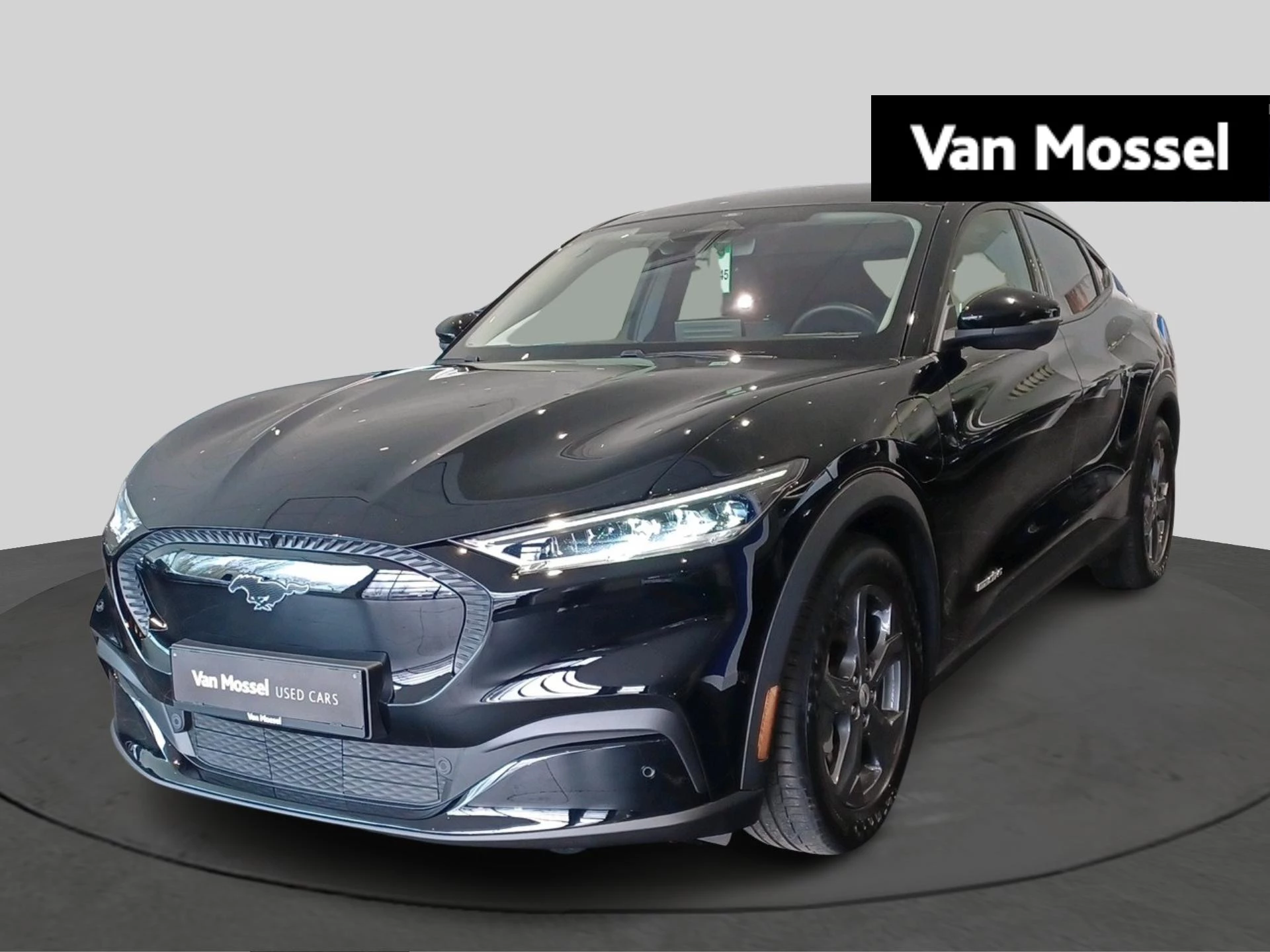 Ford-Mustang Mach-E-image-0