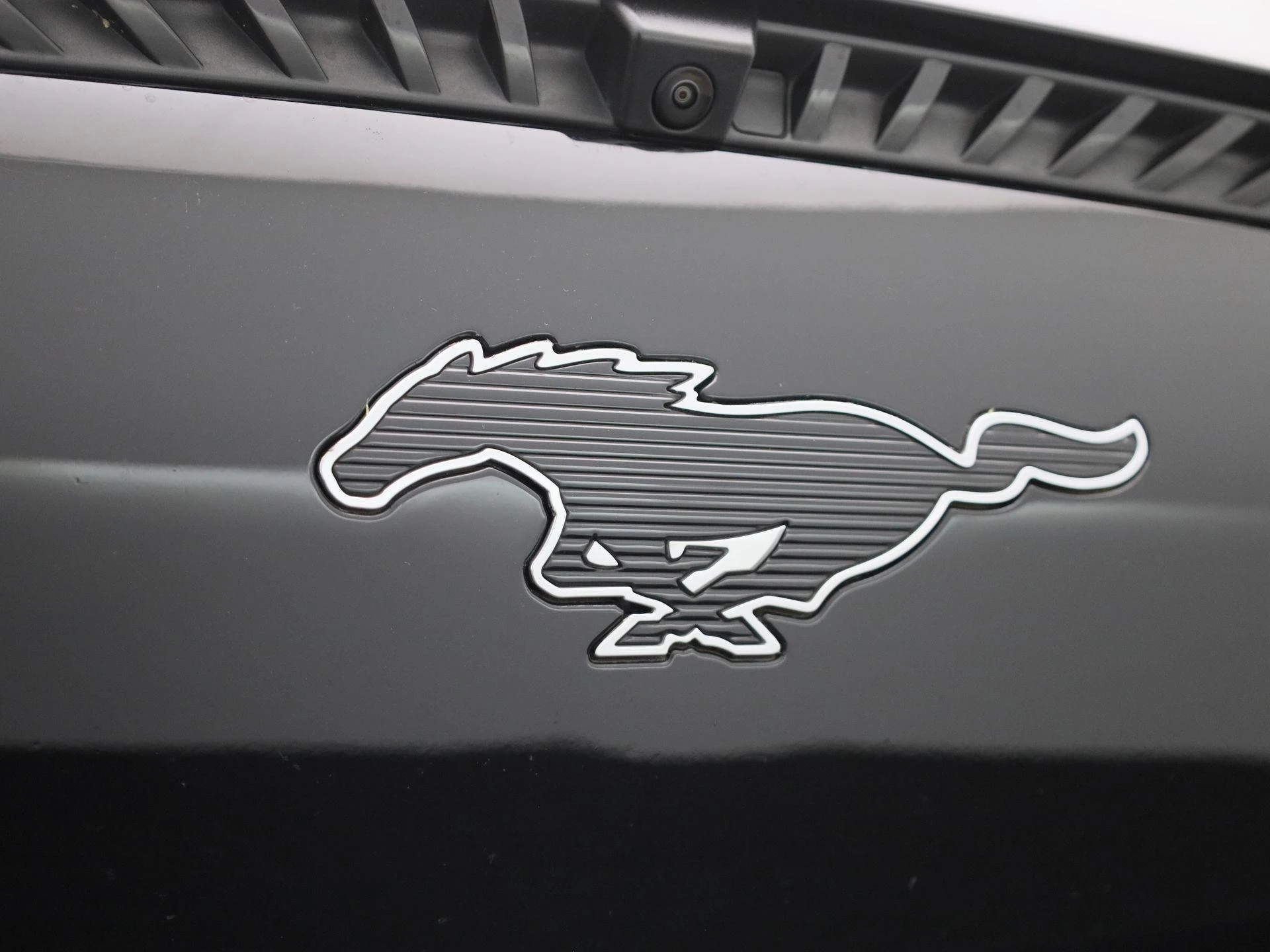 Ford-Mustang Mach-E-image-40