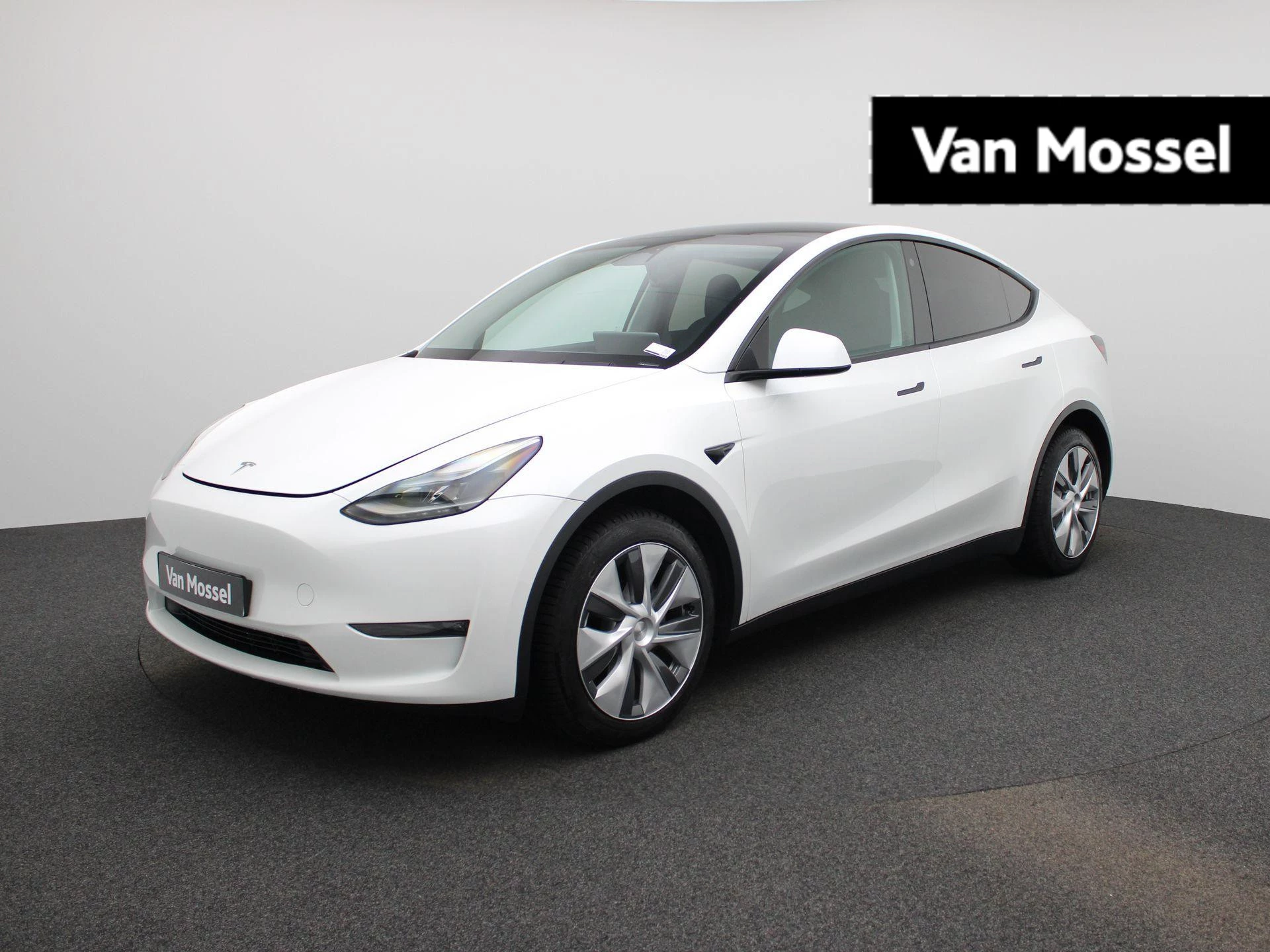 Tesla-Model Y-image-0