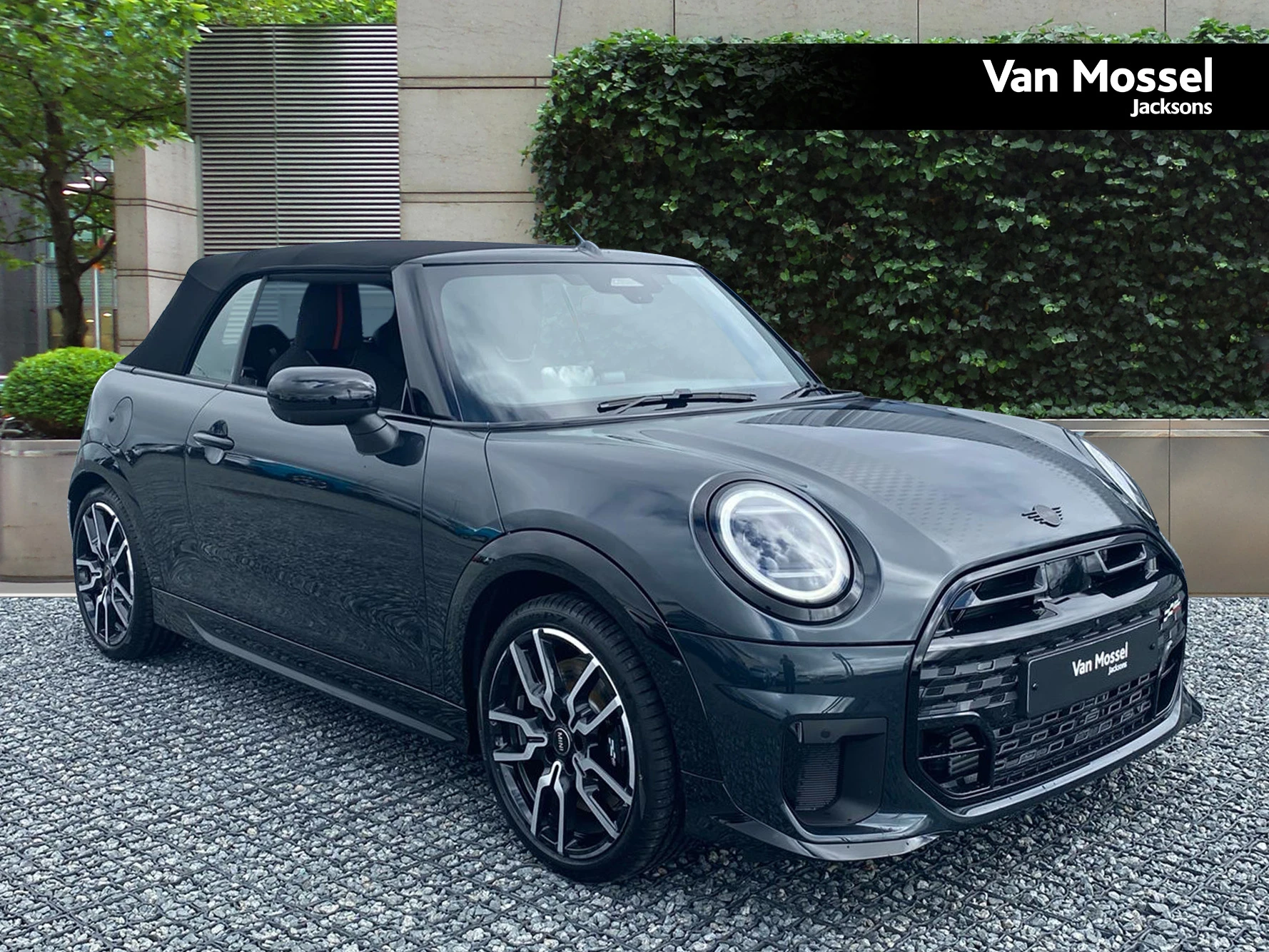 MINI Cooper Cabrio Used Car