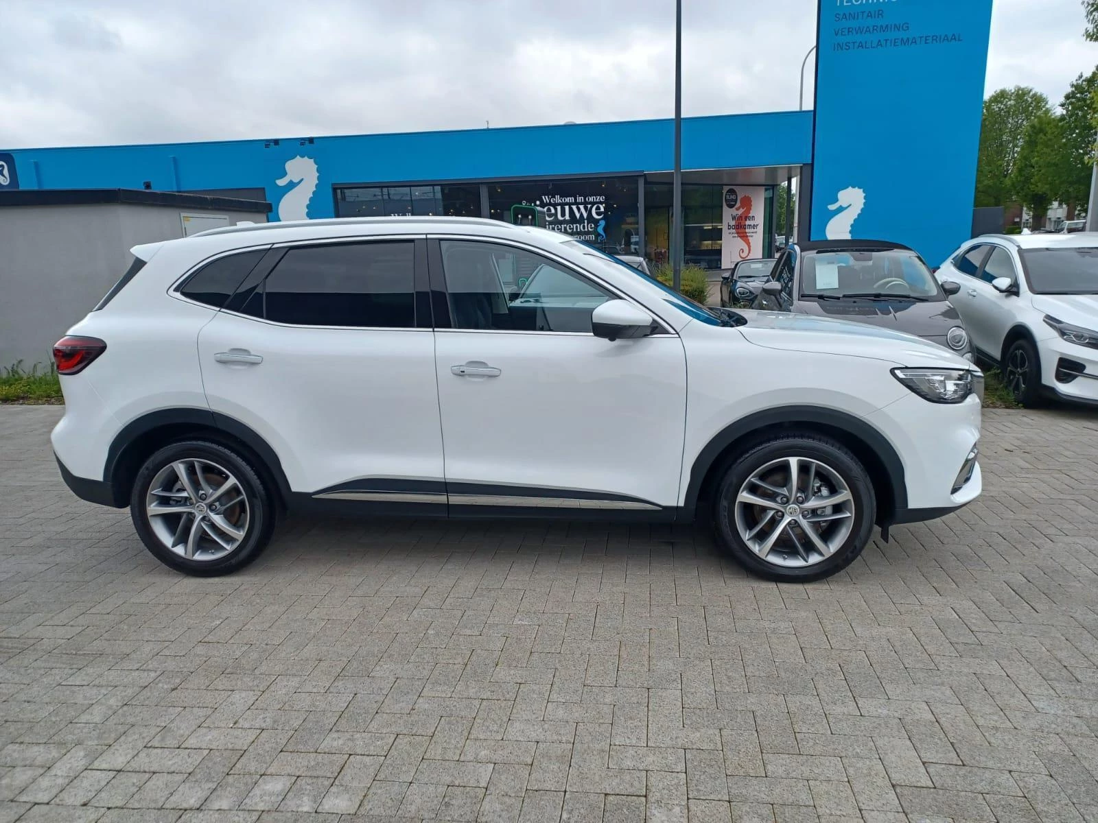 MG-EHS-image-3
