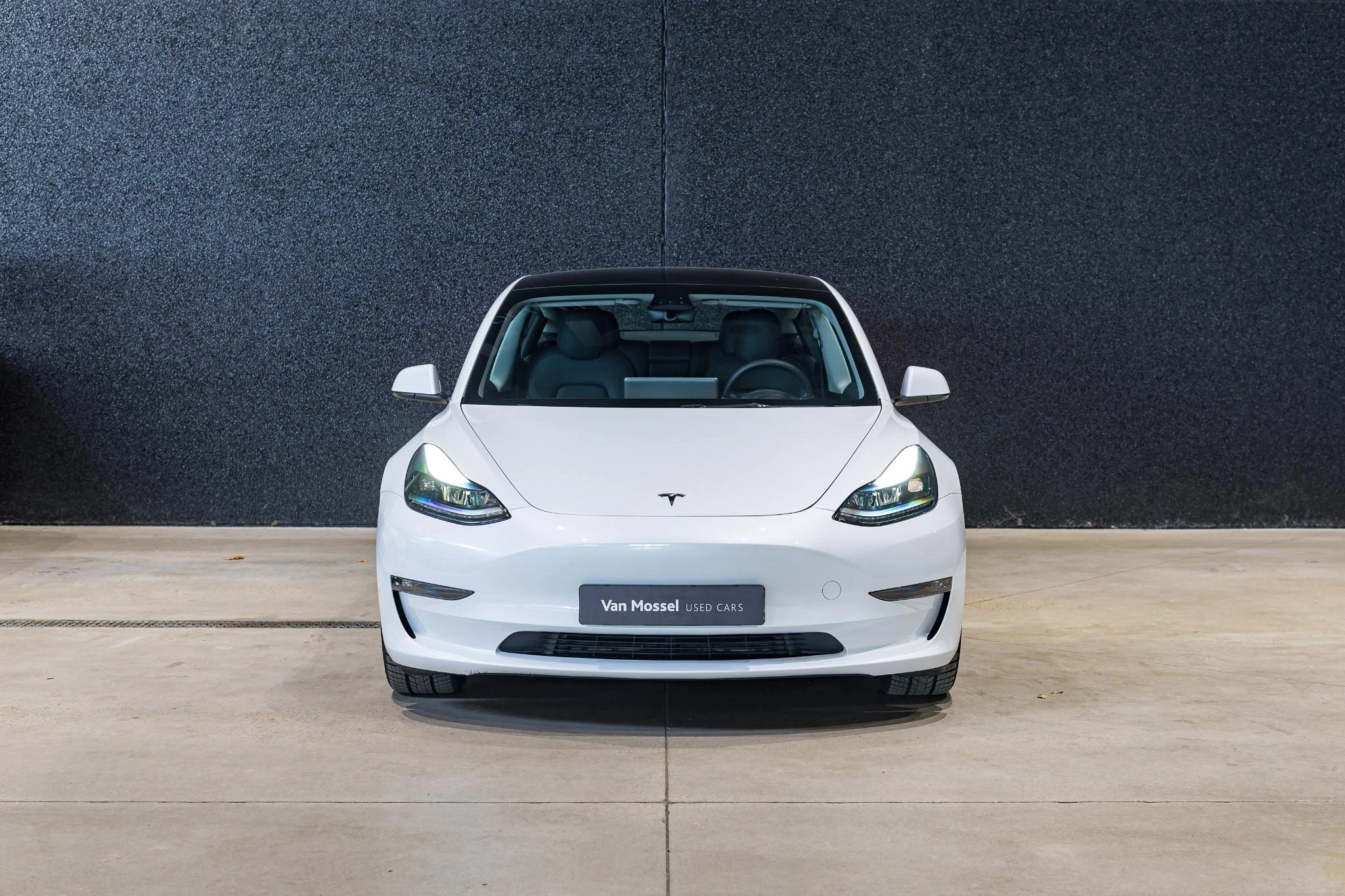 Tesla-Model 3-image-1