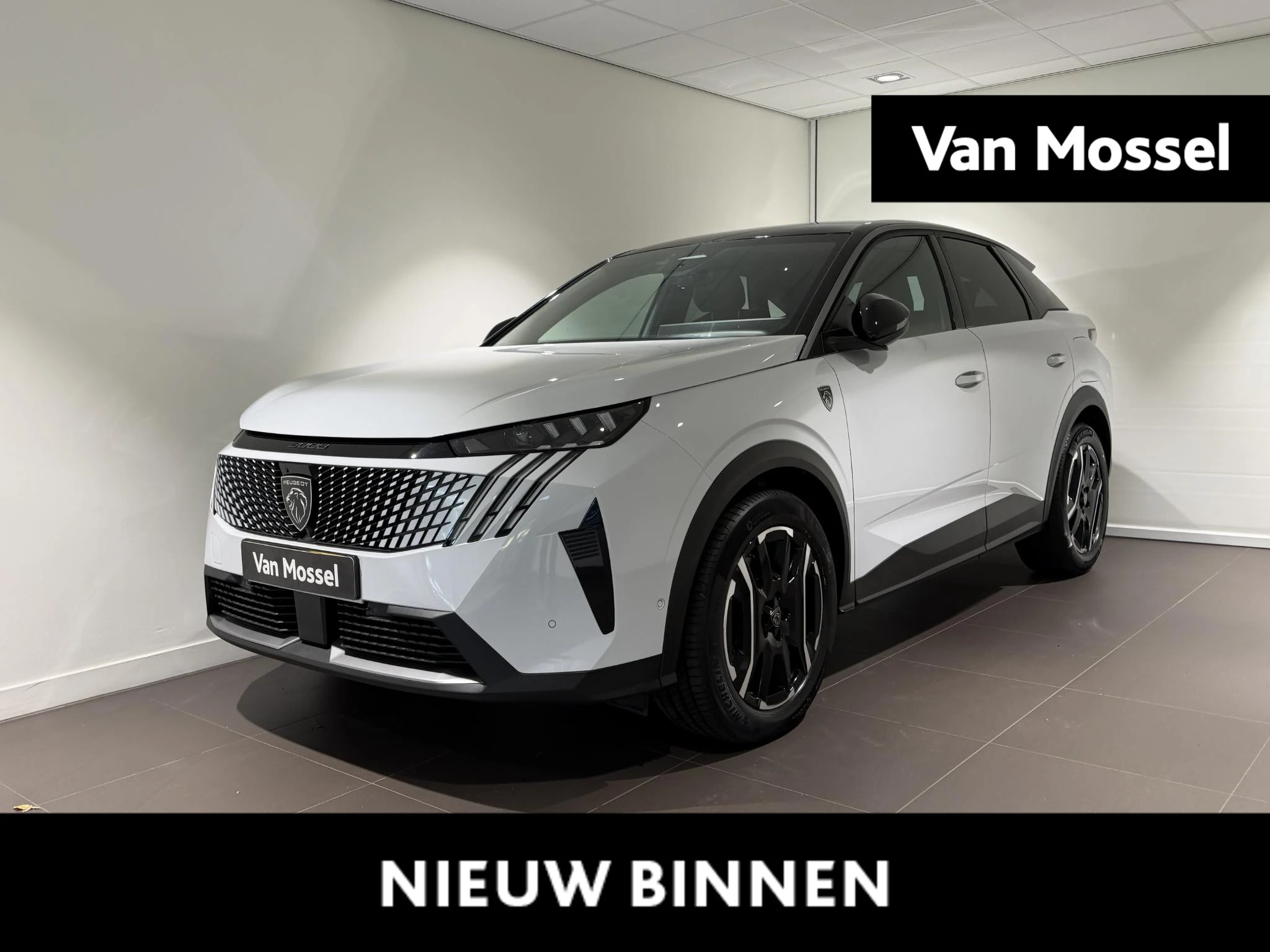 Peugeot-3008-image-0