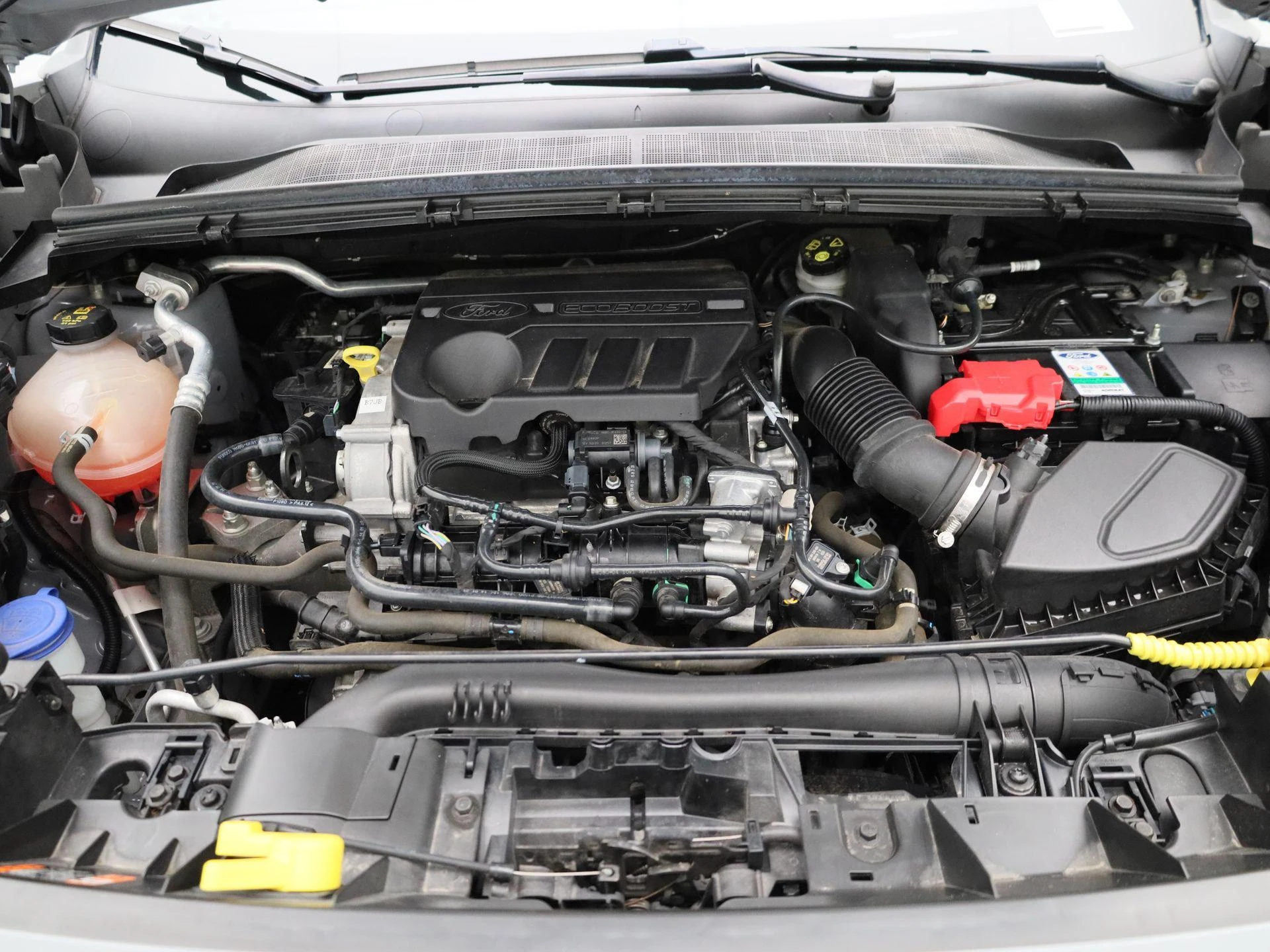 Ford-Puma-image-31