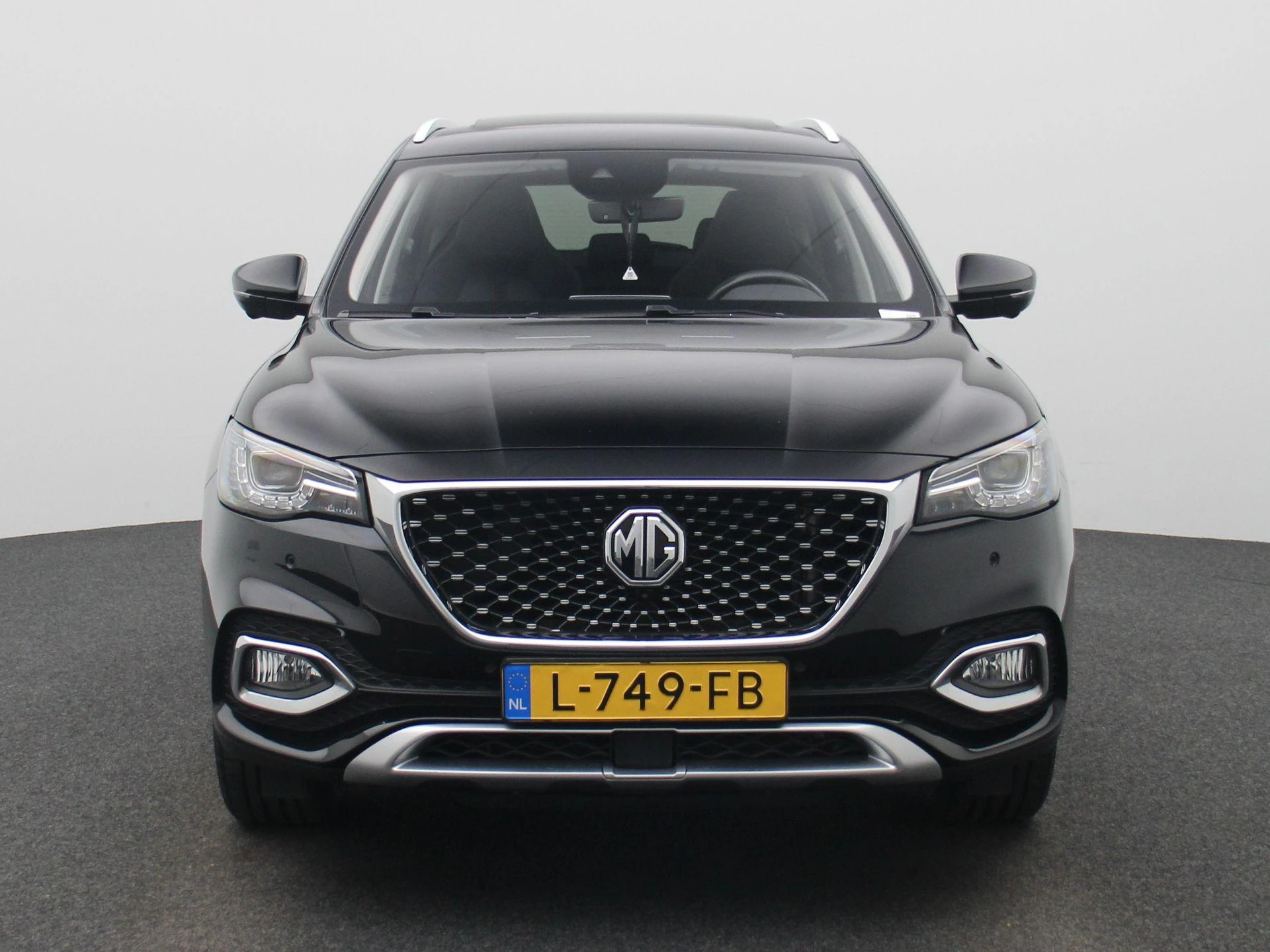 MG-EHS-image-2