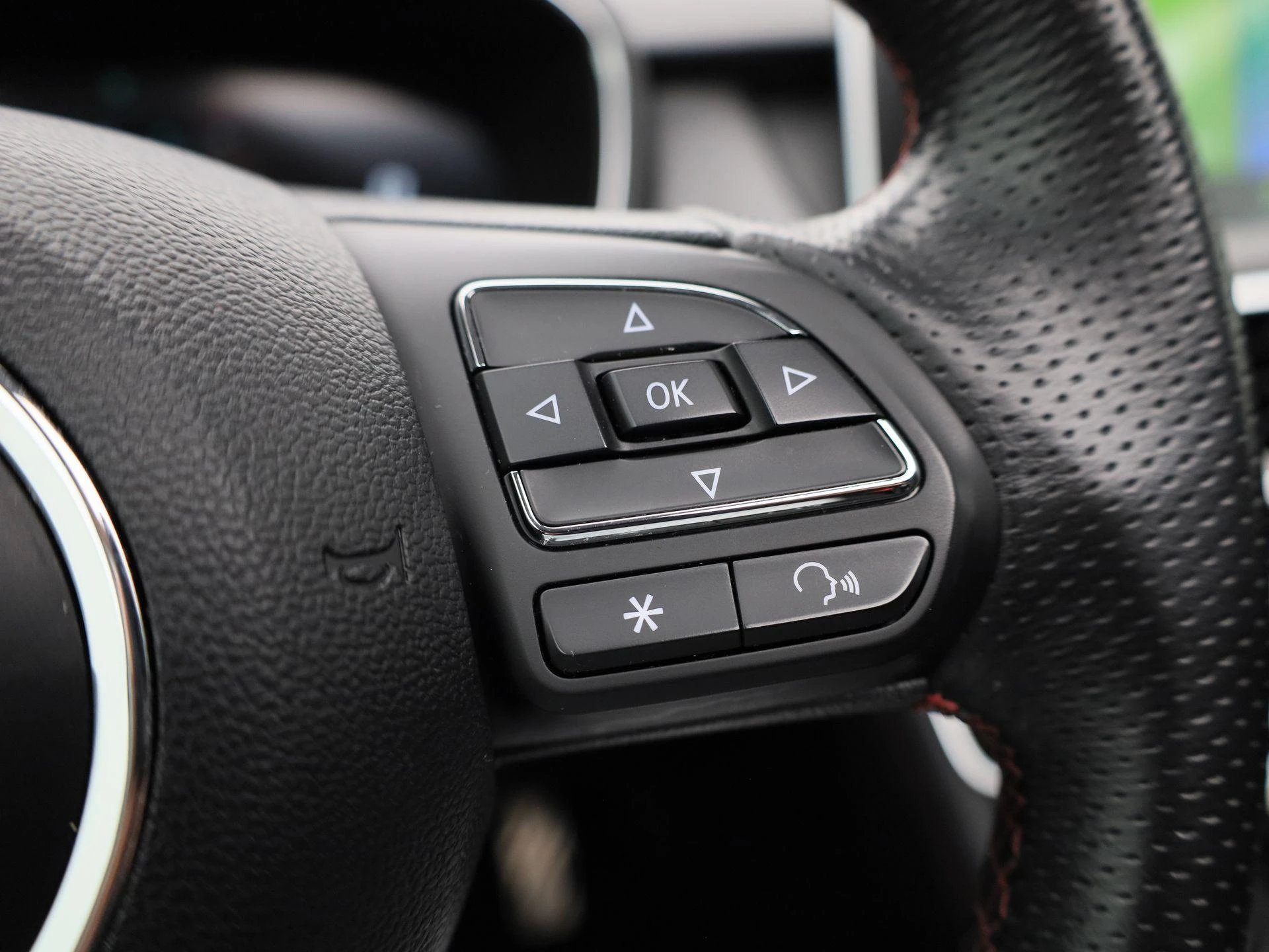 MG-EHS-image-19
