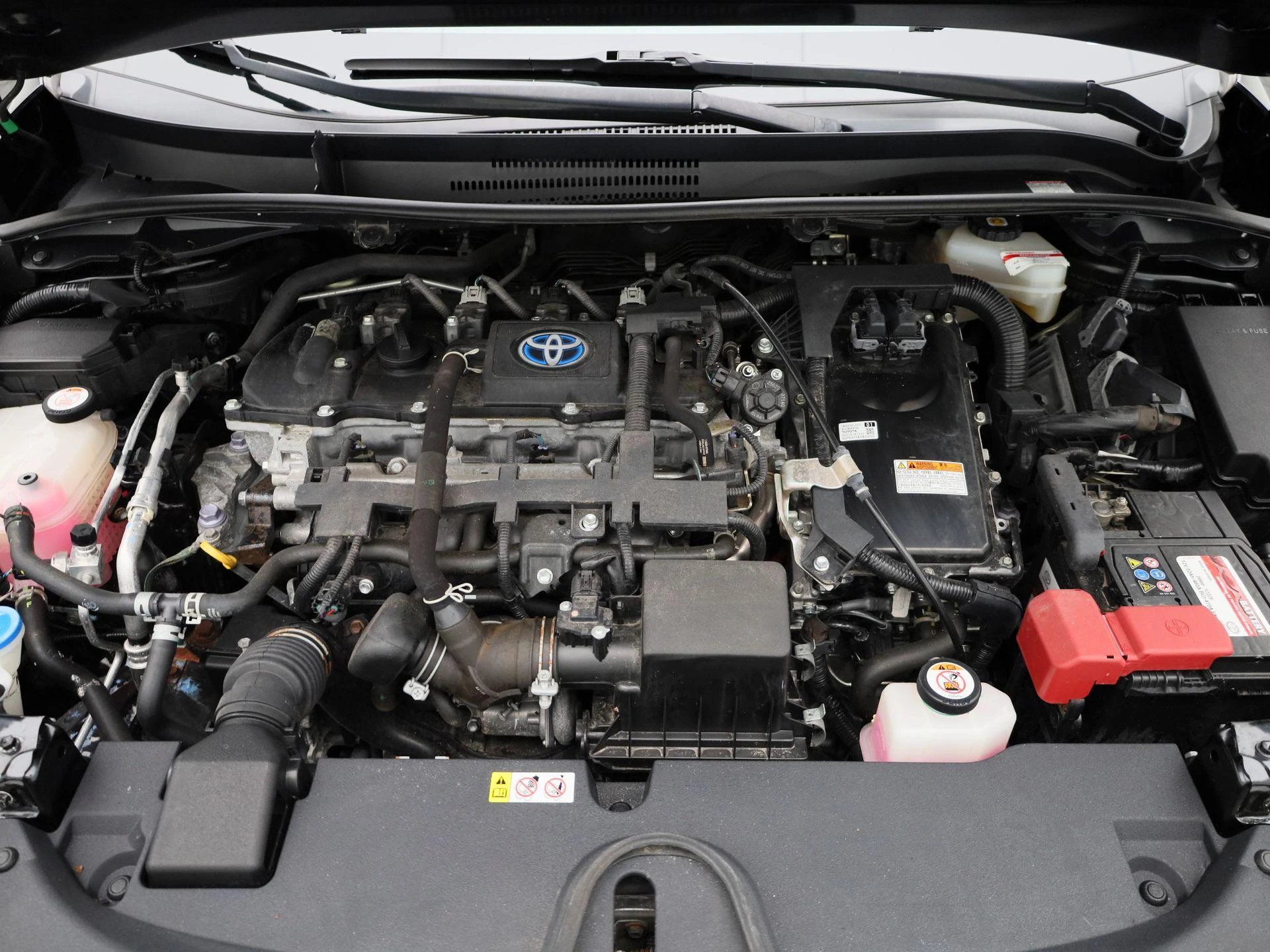 Toyota-Corolla-image-34