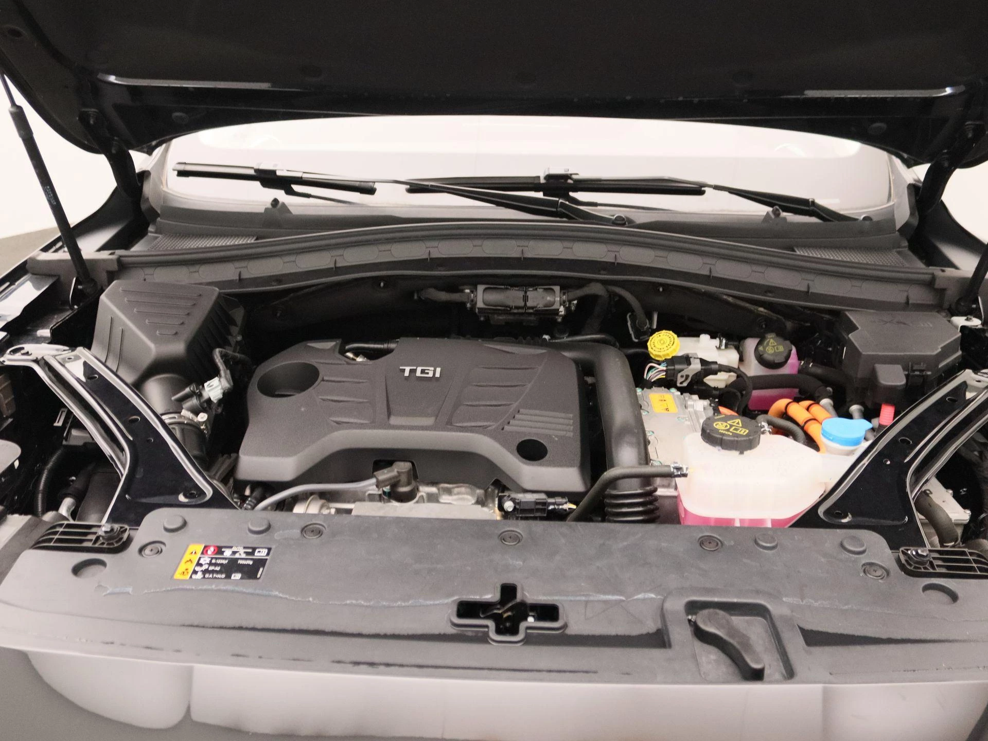 MG-EHS-image-28