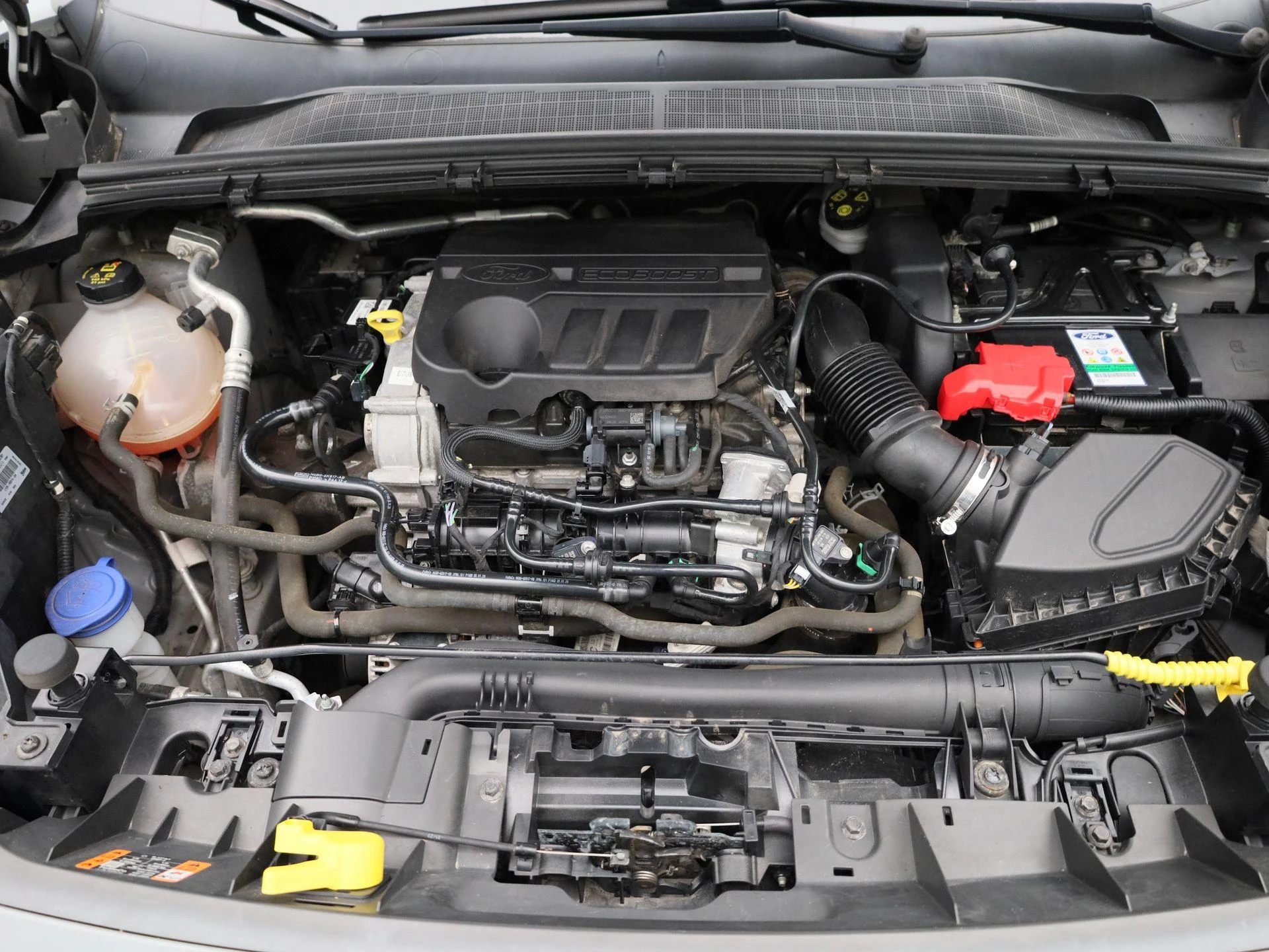 Ford-Puma-image-34