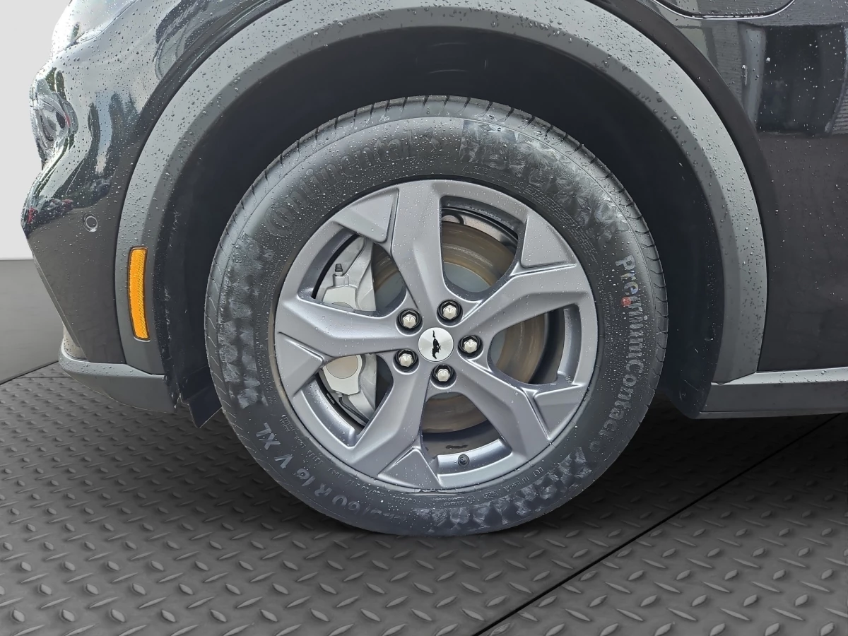 Ford-Mustang Mach-E-image-6