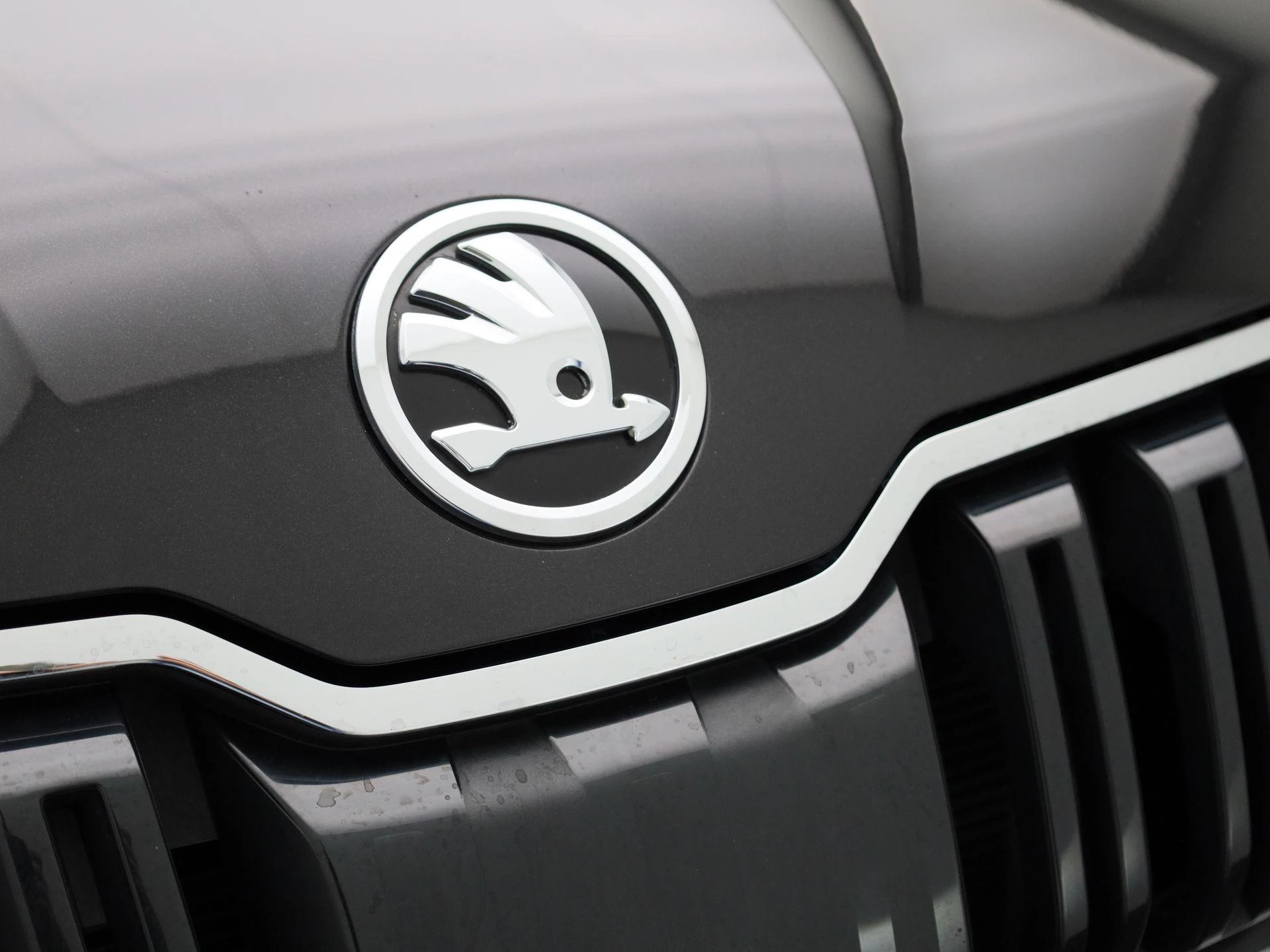 Škoda Kodiaq 1.5 TSI Business Edition