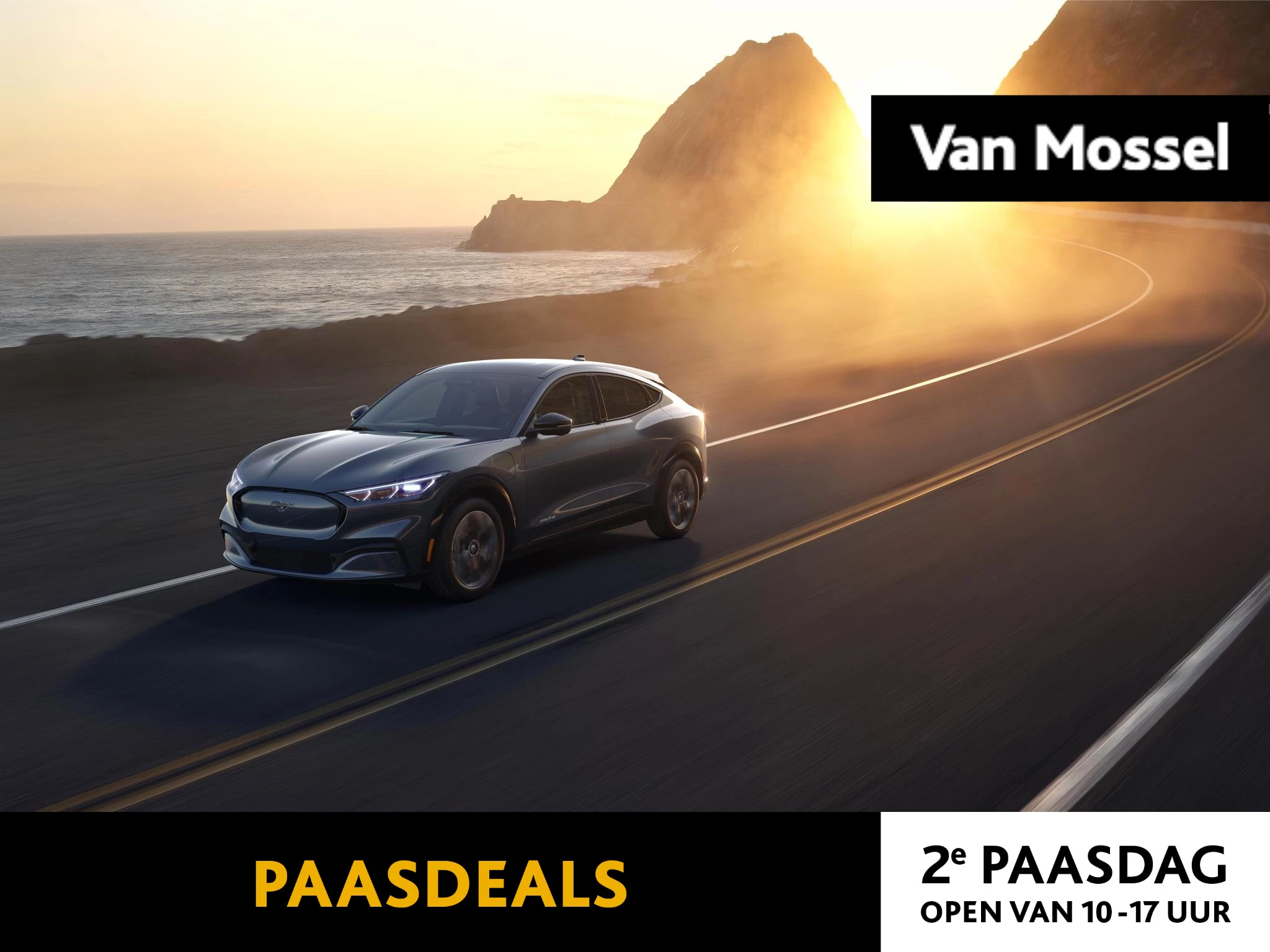 Ford-Mustang Mach-E-image-0