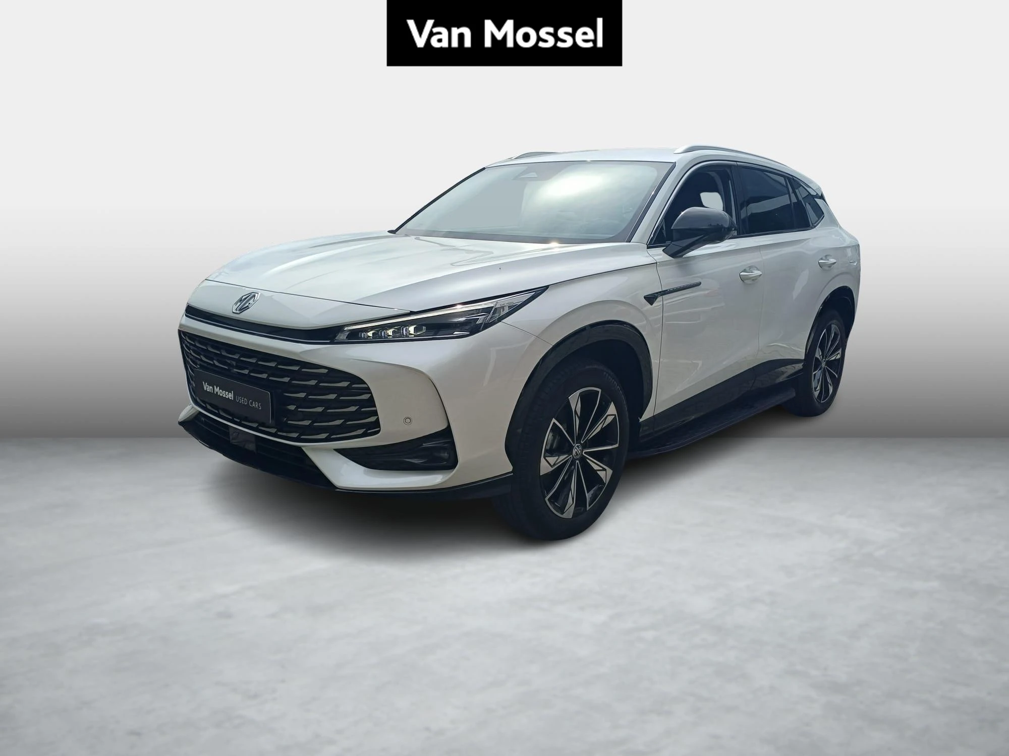 MG-HS-image-0