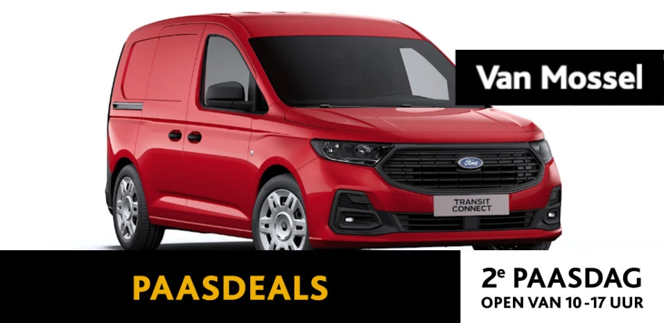 Ford-Transit Connect-image-0