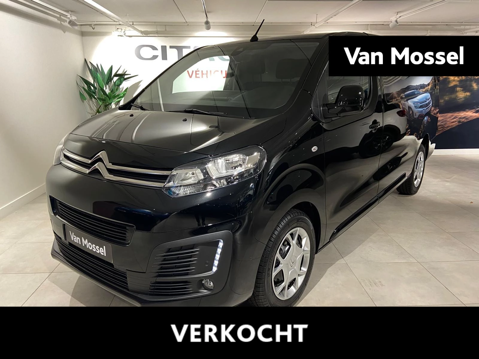 Citroën-Jumpy-image-0