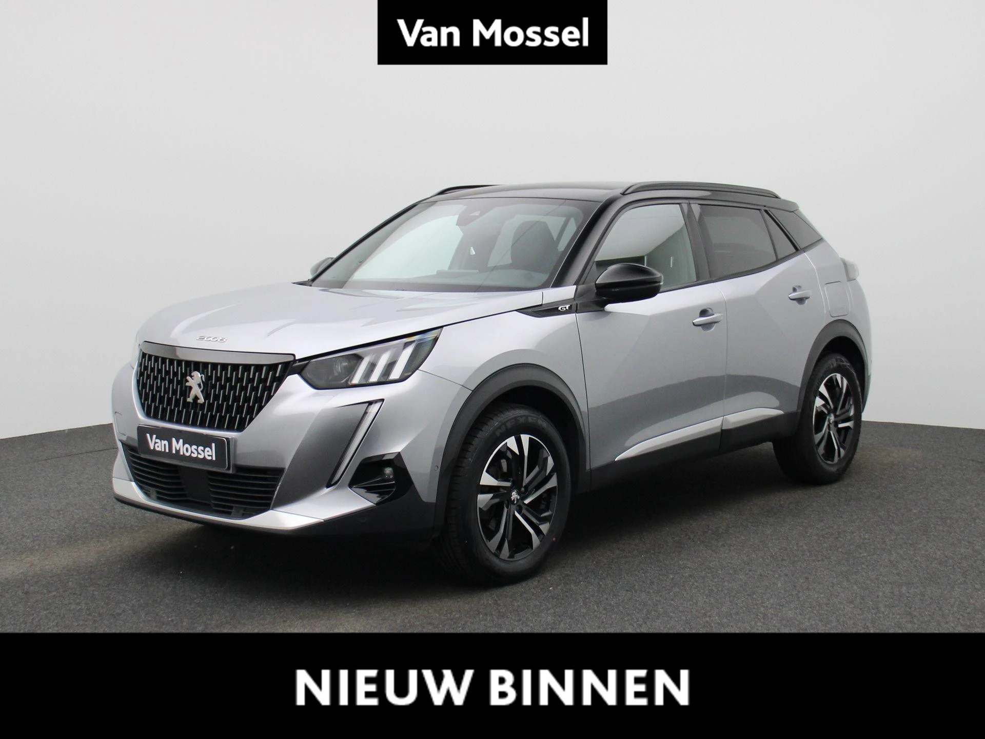 Peugeot-2008-image-0